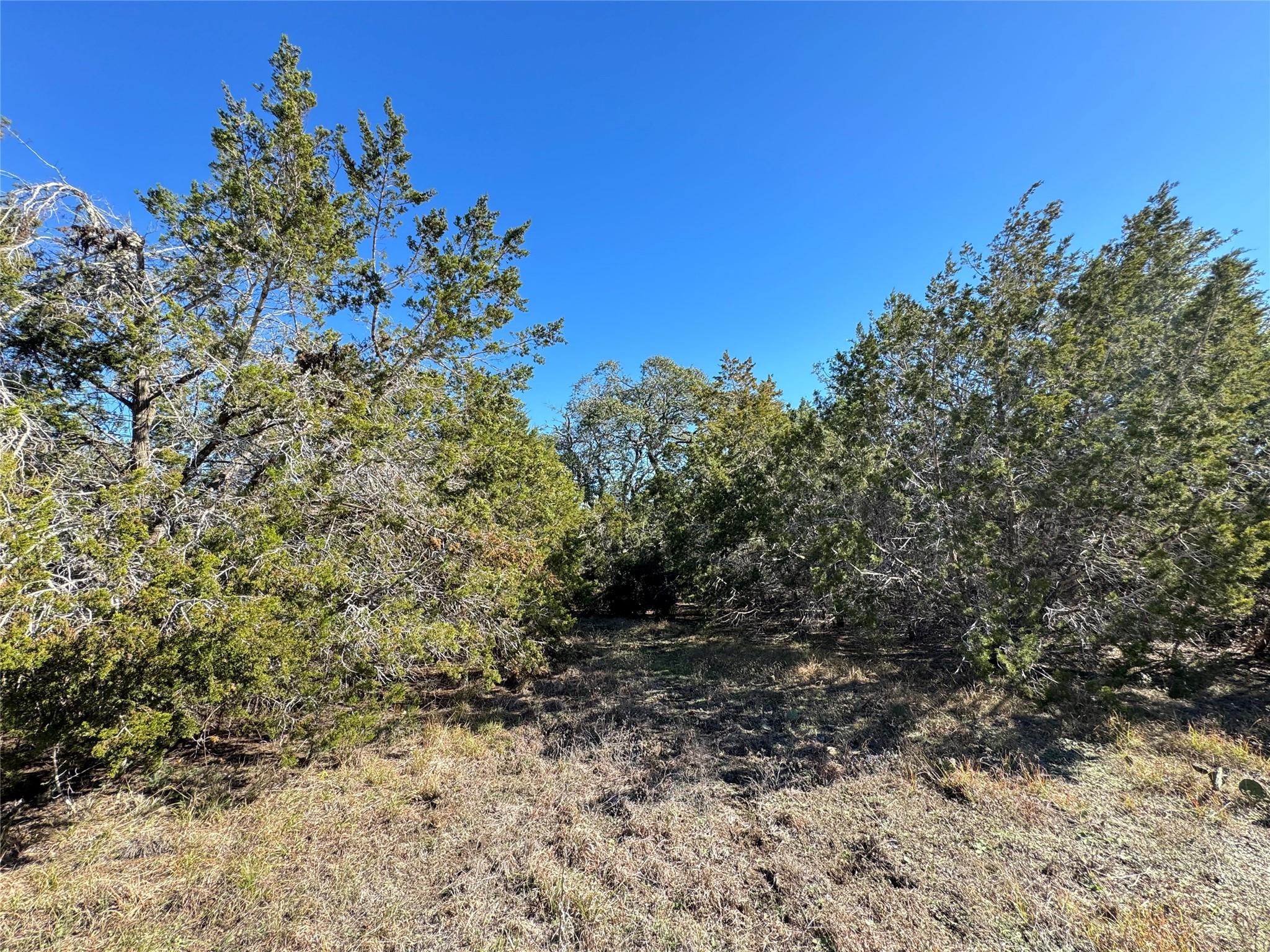 E Gatlin Creek Rd Property Photo 15