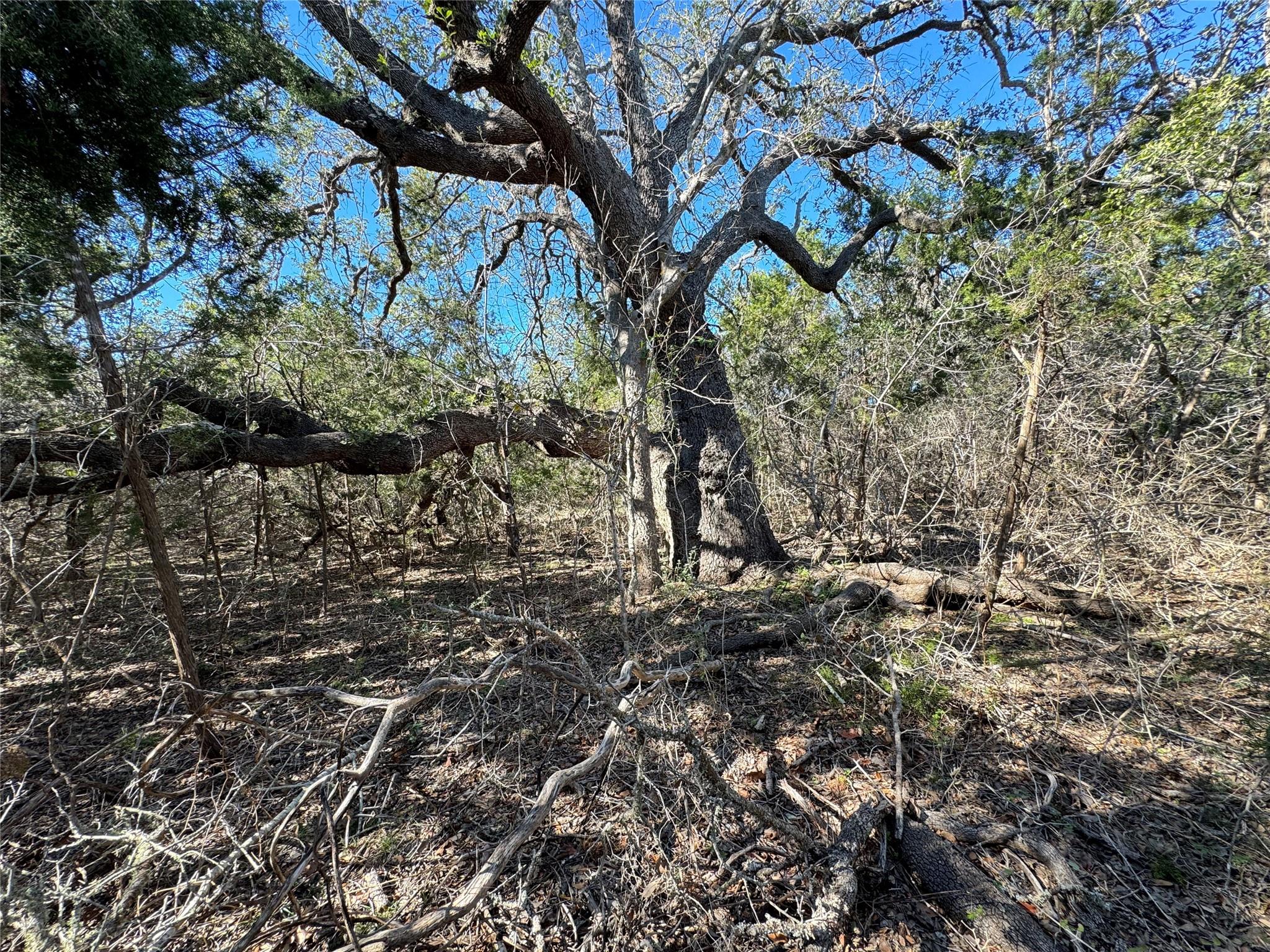 E Gatlin Creek Rd Property Photo 17
