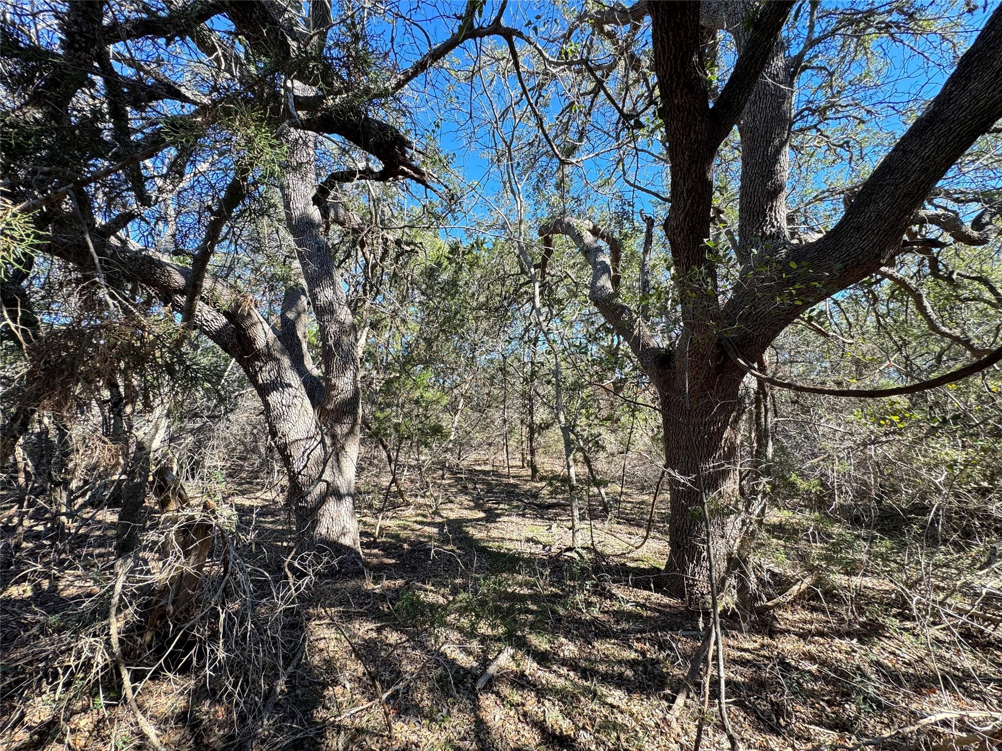 E Gatlin Creek Rd Property Photo 18