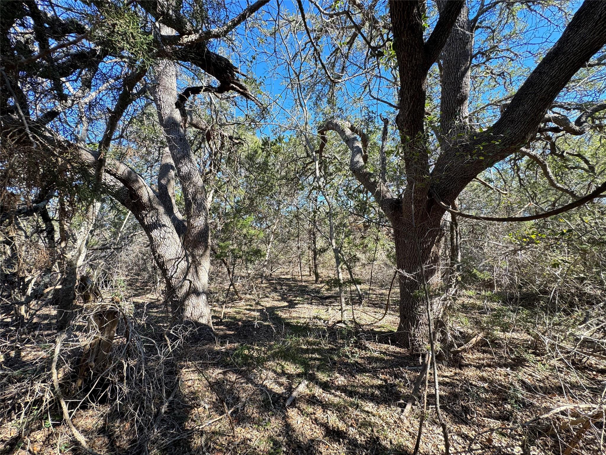 E Gatlin Creek Rd Property Photo 19