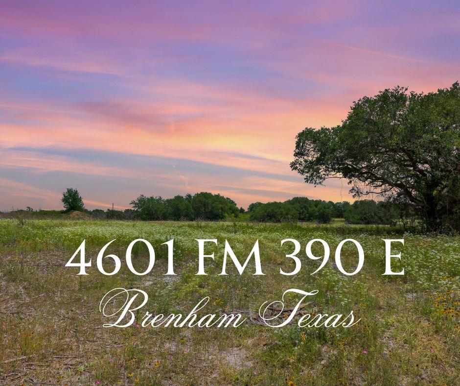 4601 Fm 390 None E Property Photo 1