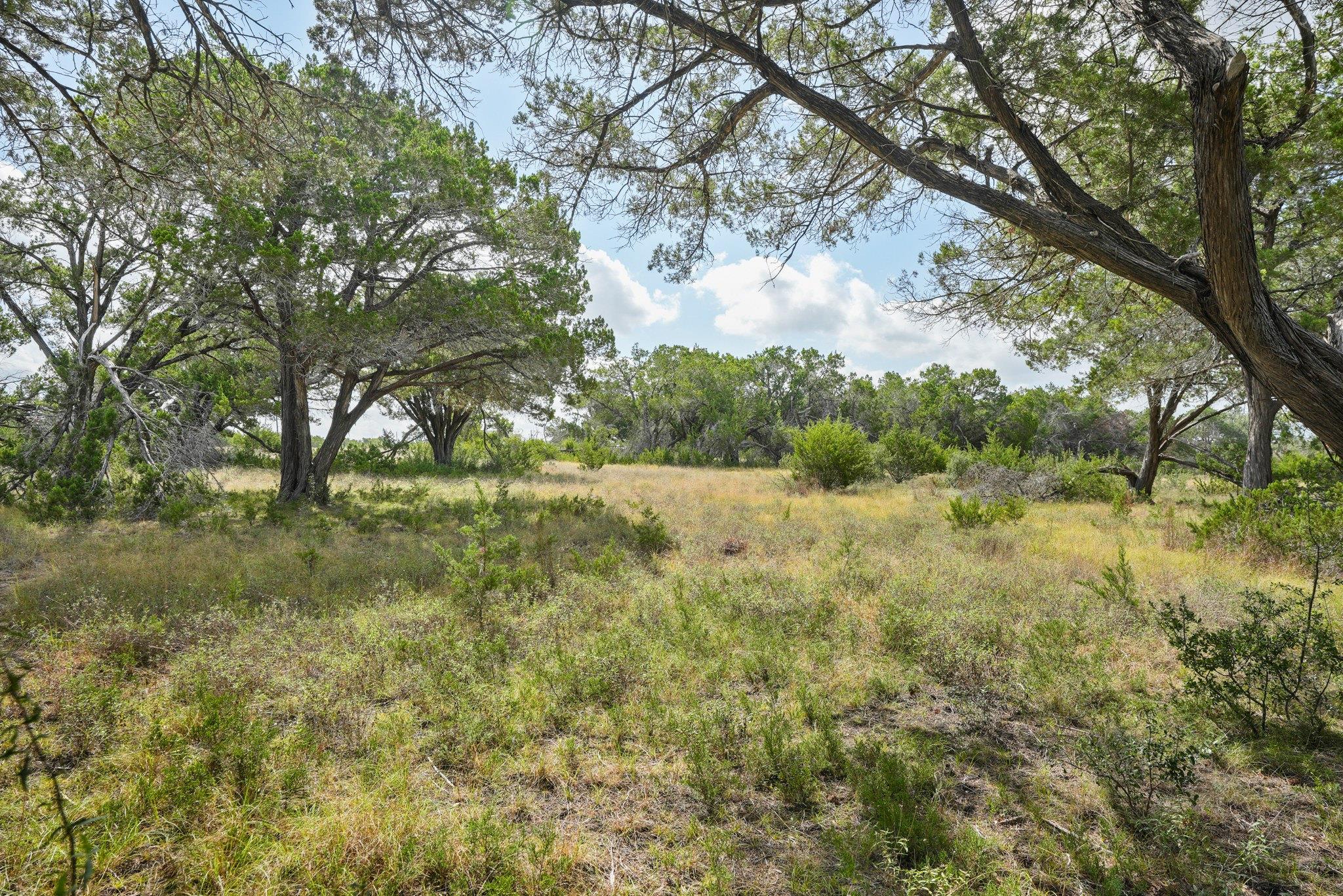 31301 Ranch Road 12 None Property Photo 8