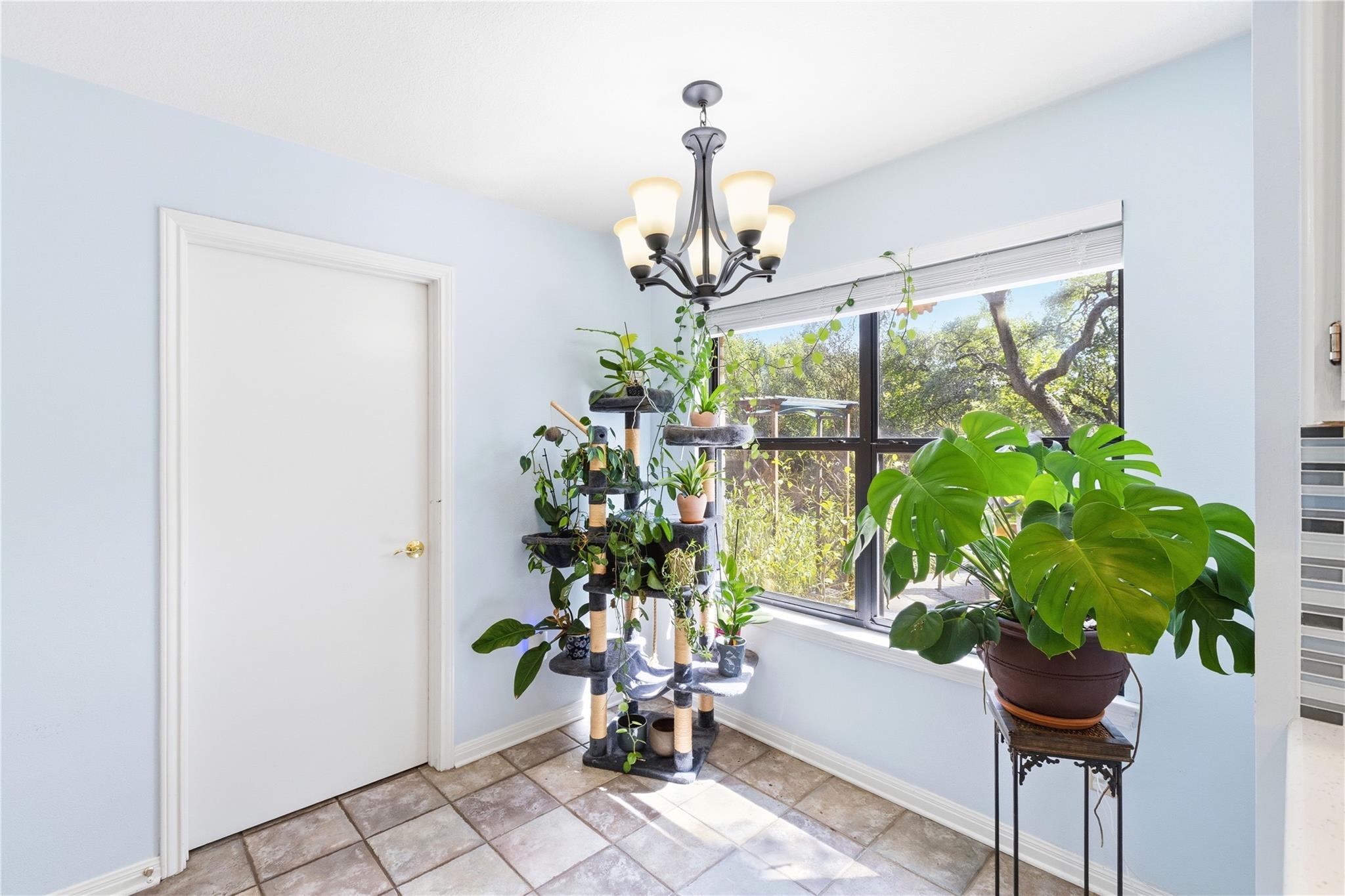 8103 Doe Meadow Dr Property Photo 11