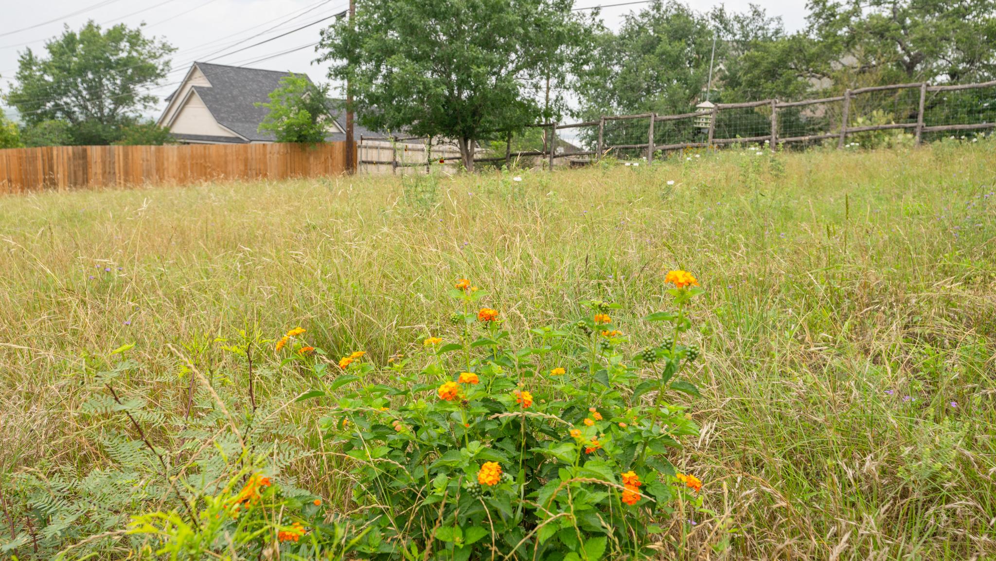 Tbd Lot 2 Old Rr 12 Property Photo 3