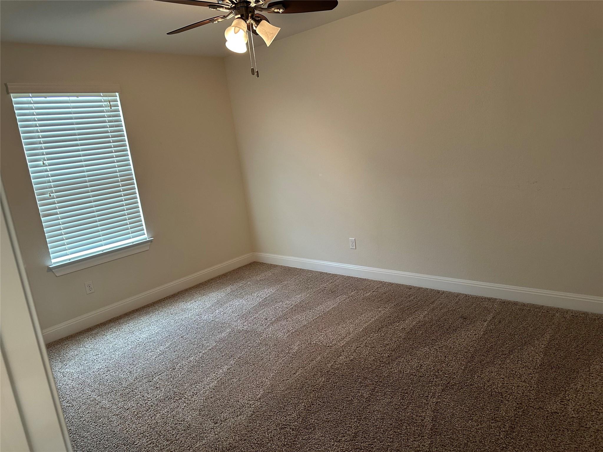 4237 Privacy Hedge St Property Photo 22