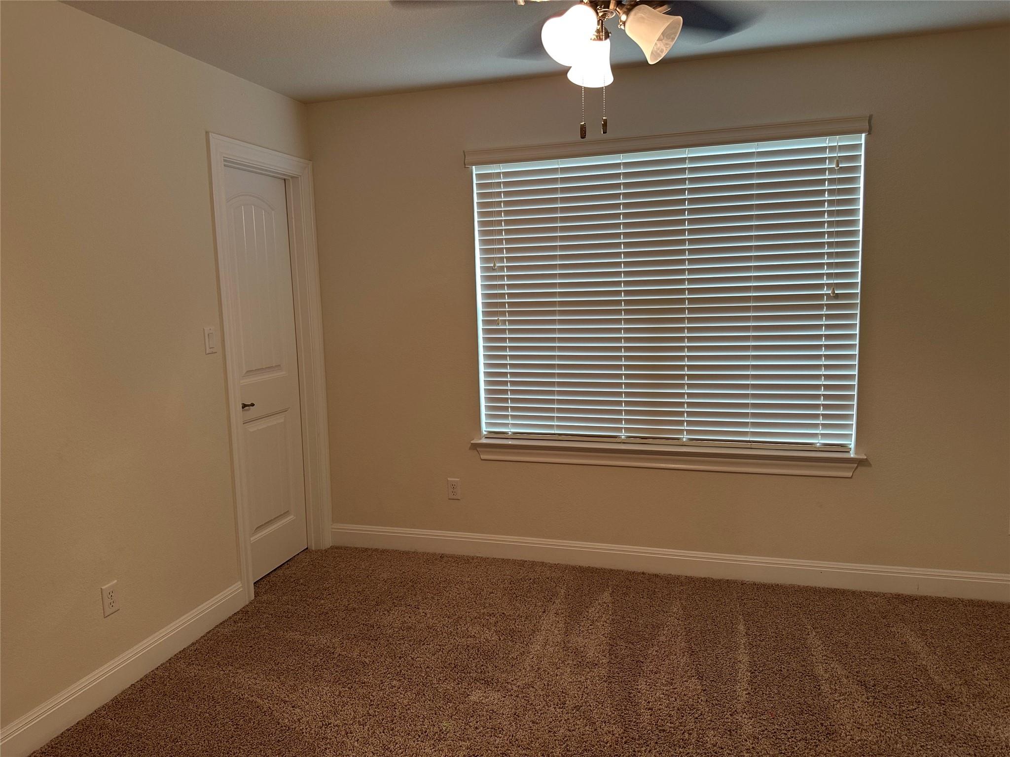 4237 Privacy Hedge St Property Photo 24