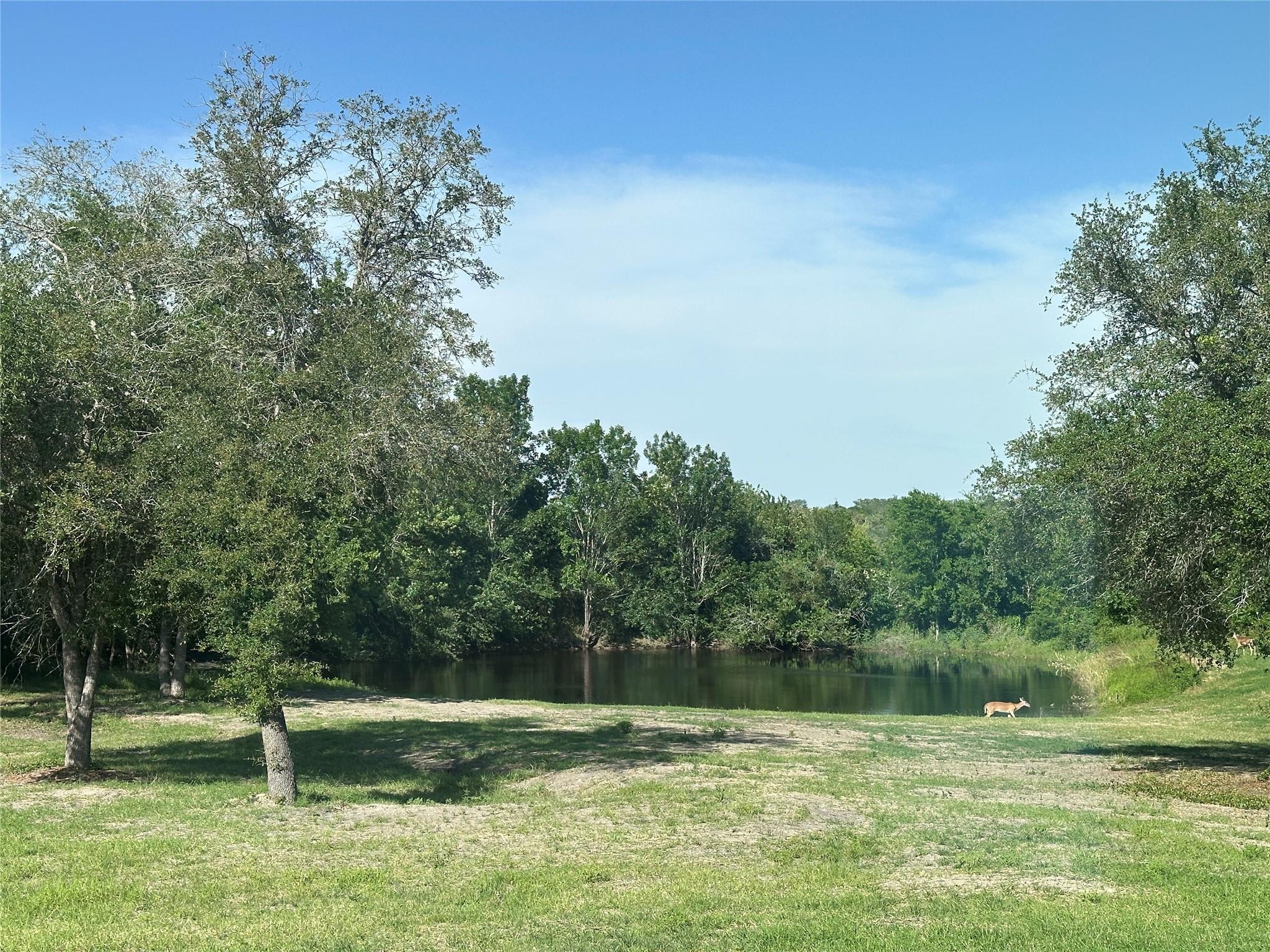6300 Wied Rd Property Photo 40