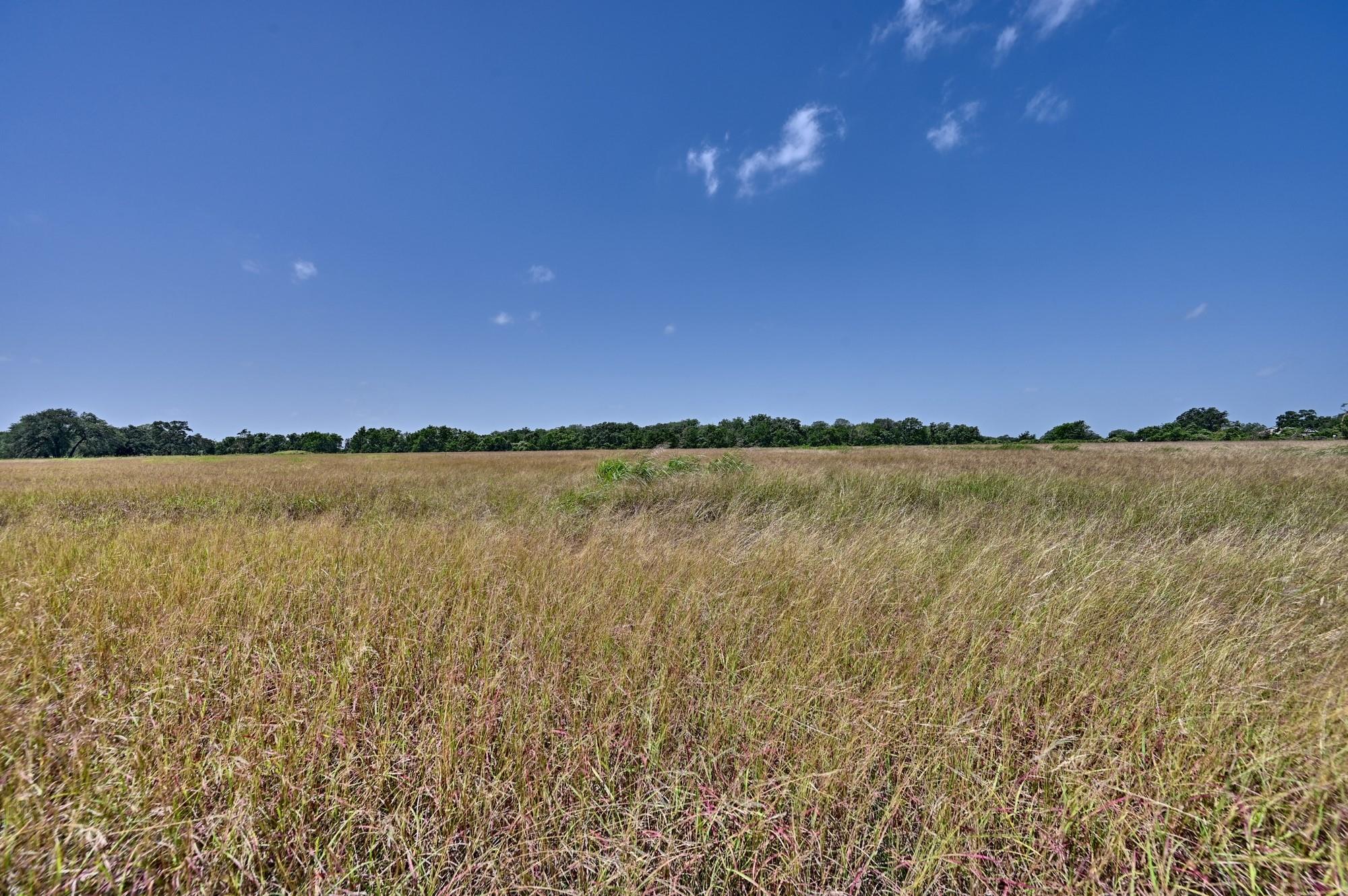 Tbd Fm 2981 None Property Photo 19