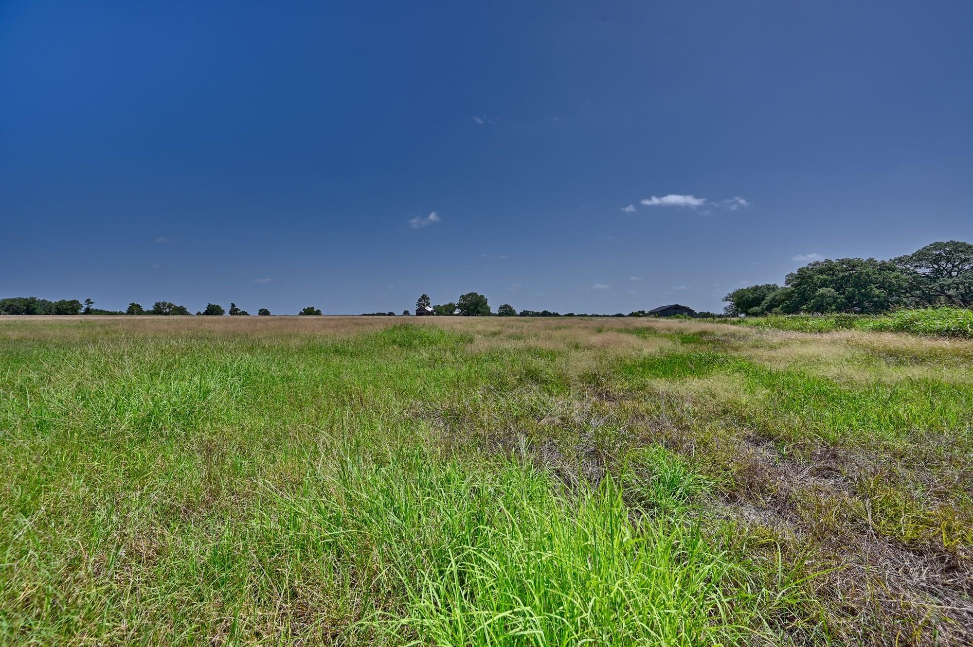 Tbd Fm 2981 None Property Photo 21