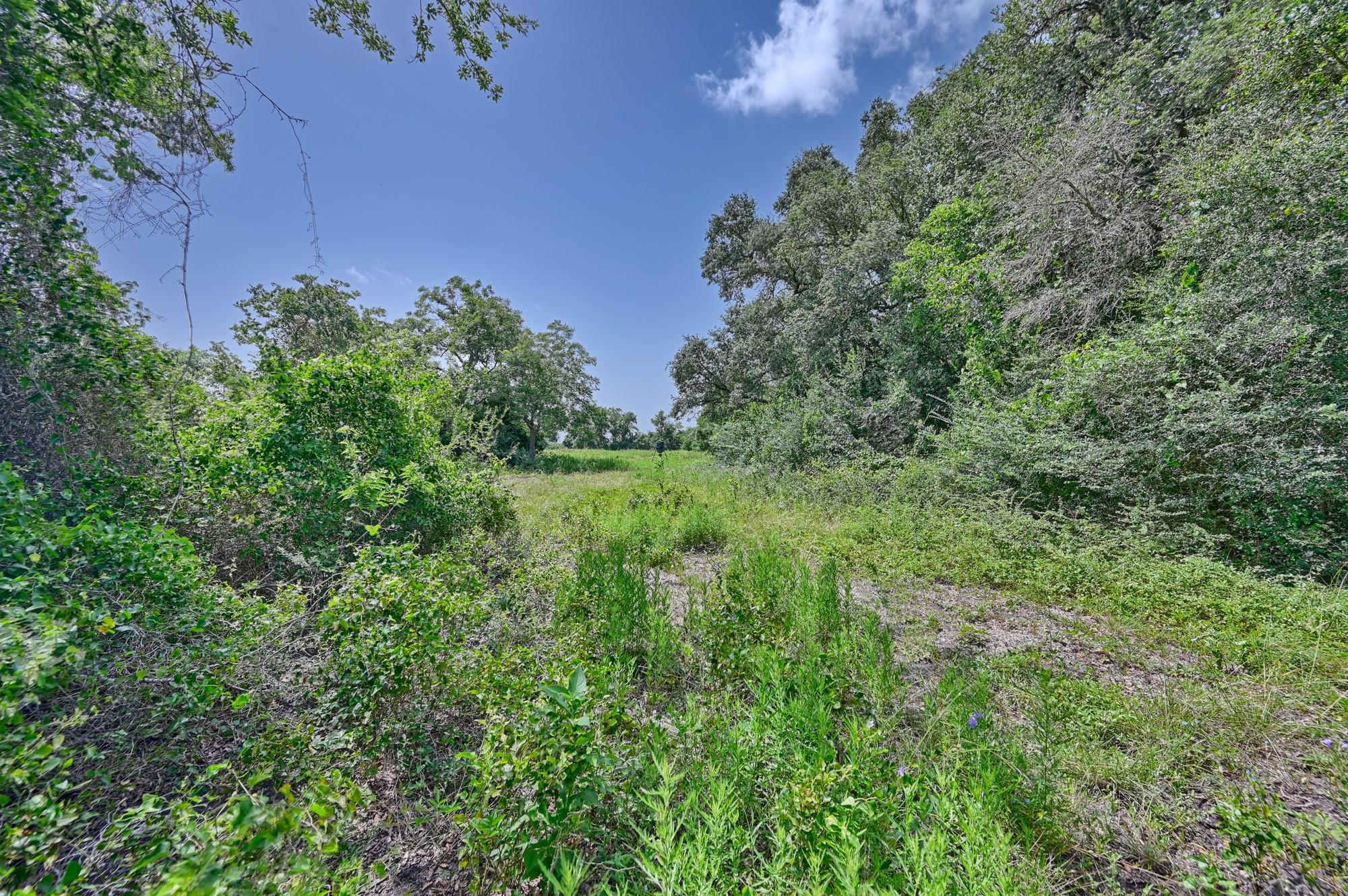 Tbd Fm 2981 None Property Photo 27