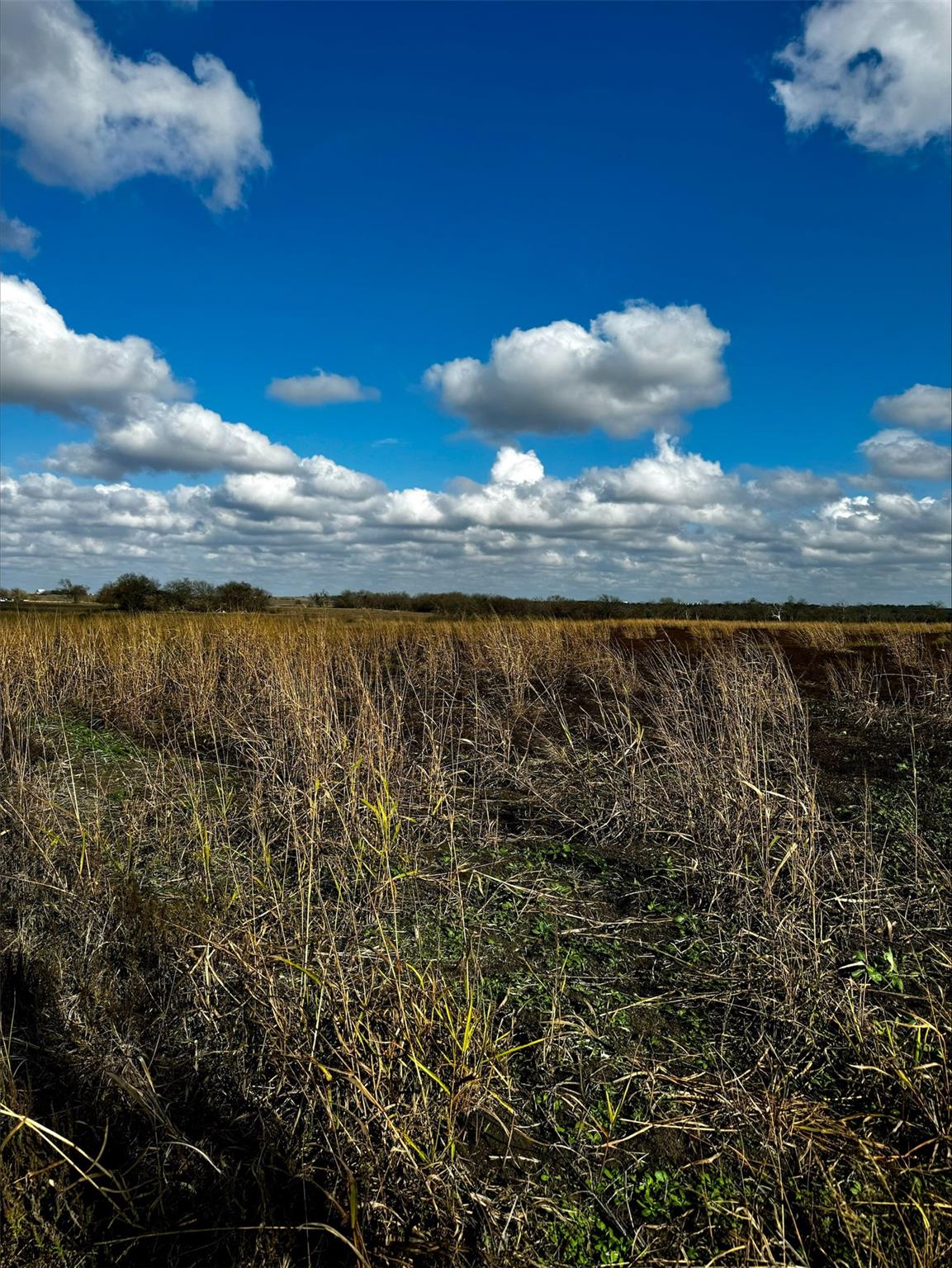 18701 Fm 973 Lot 1 Property Photo 16