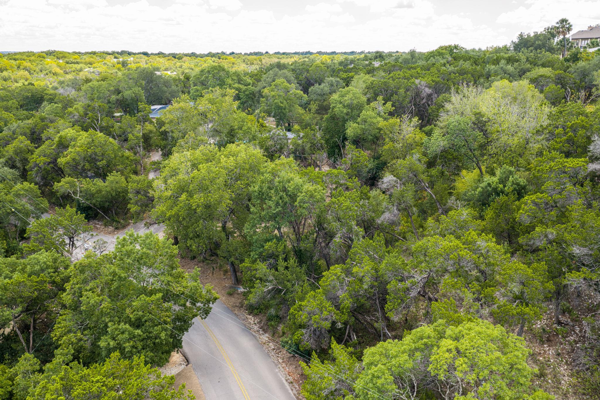 103 Yaupon Valley Rd Property Photo 9