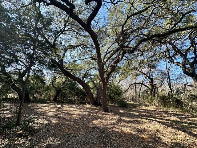 222 Fm 535 Property Photo 2