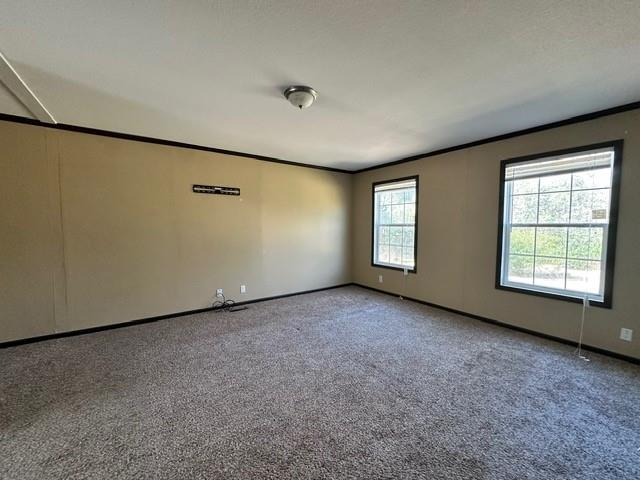 222 Fm 535 Property Photo 18