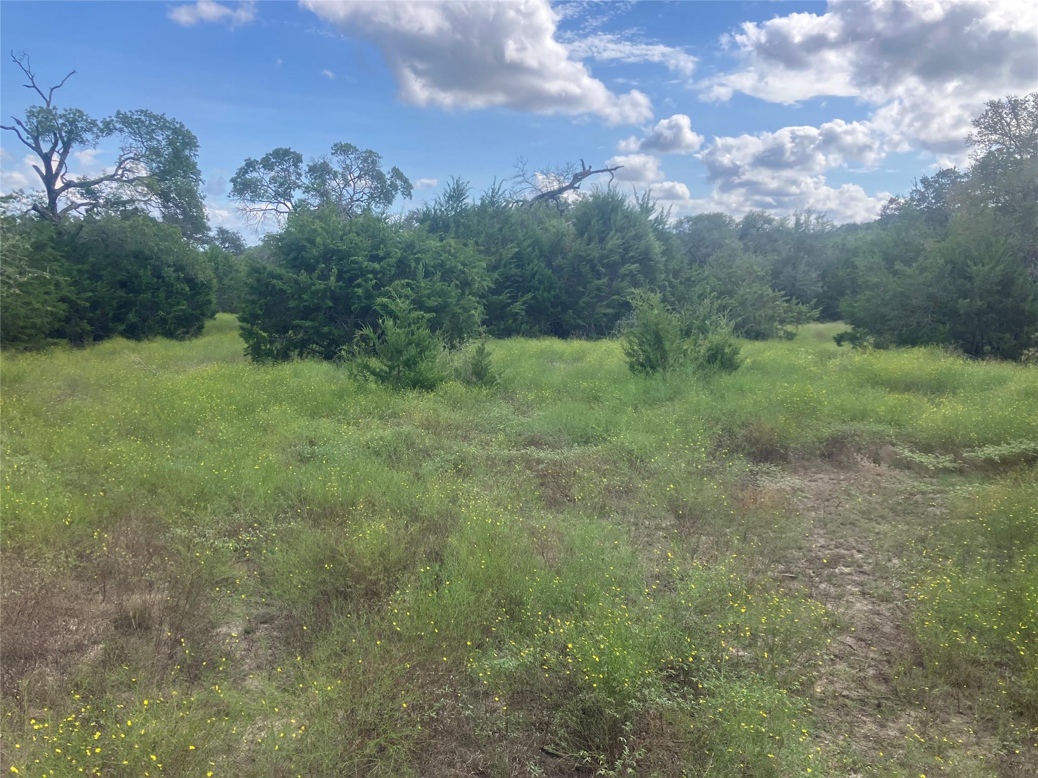 001 Post Oak Bend Loop Property Photo 24