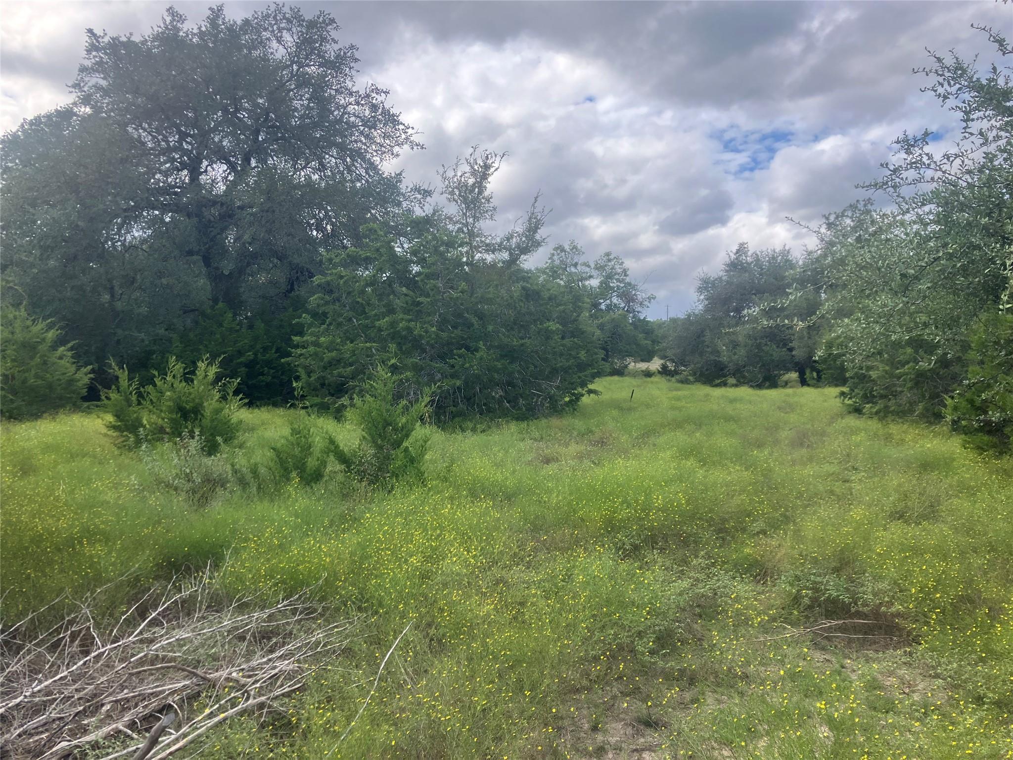 001 Post Oak Bend Loop Property Photo 25