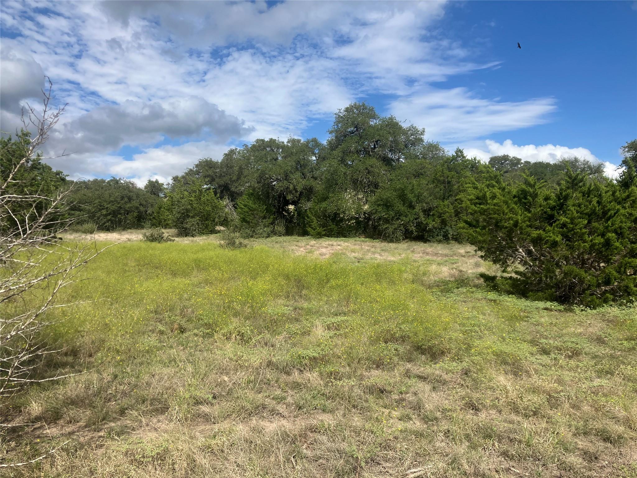 001 Post Oak Bend Loop Property Photo 27