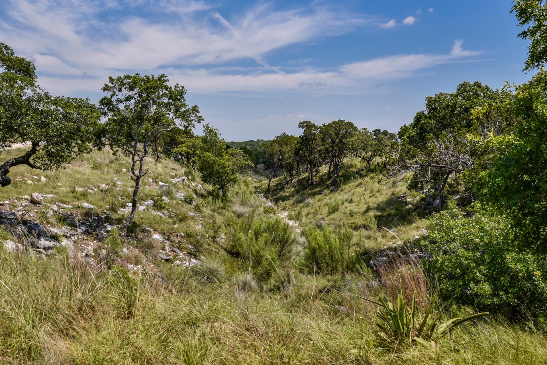 3360291 Property Photo 5