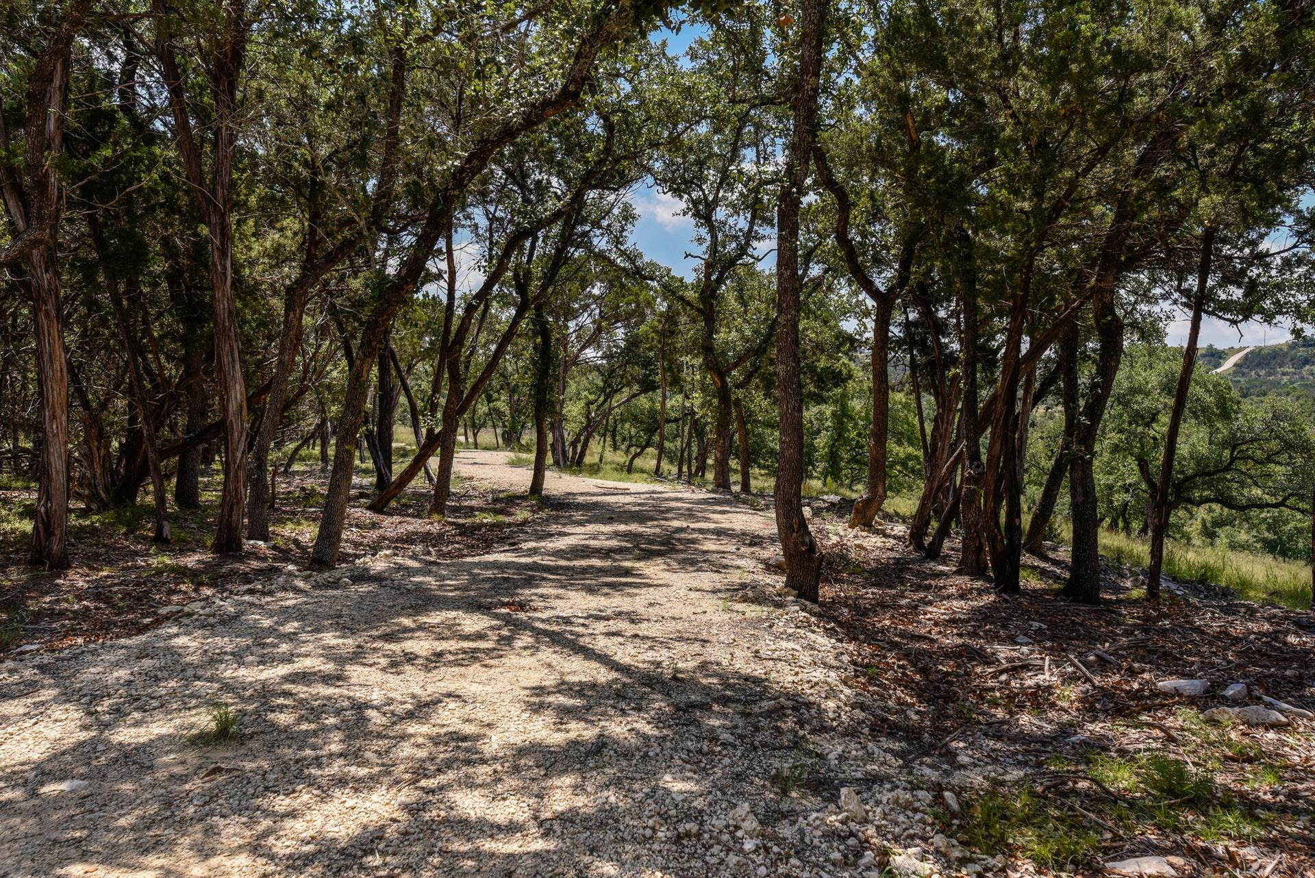 3360291 Property Photo 8