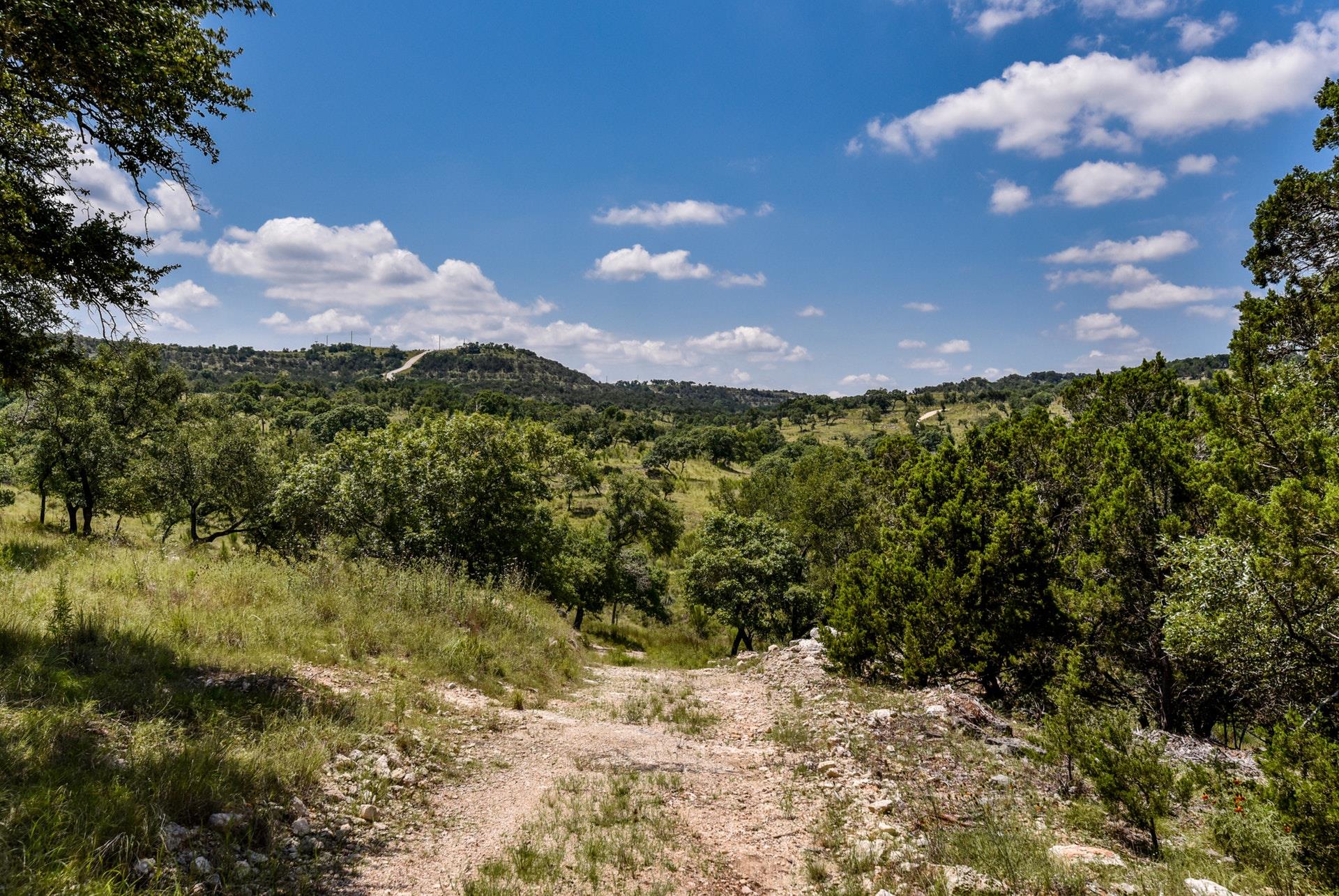3360291 Property Photo 9