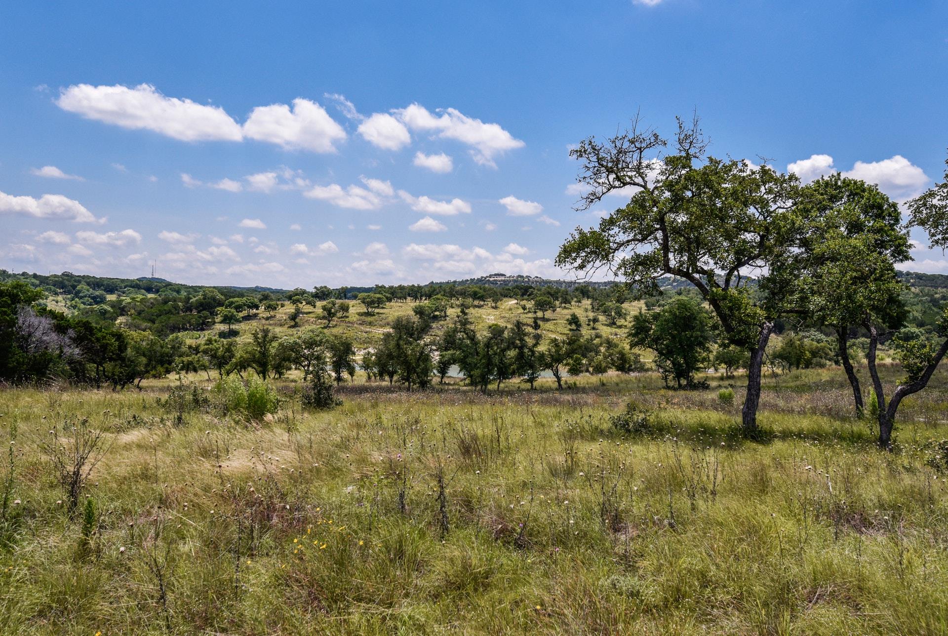 3360291 Property Photo 11
