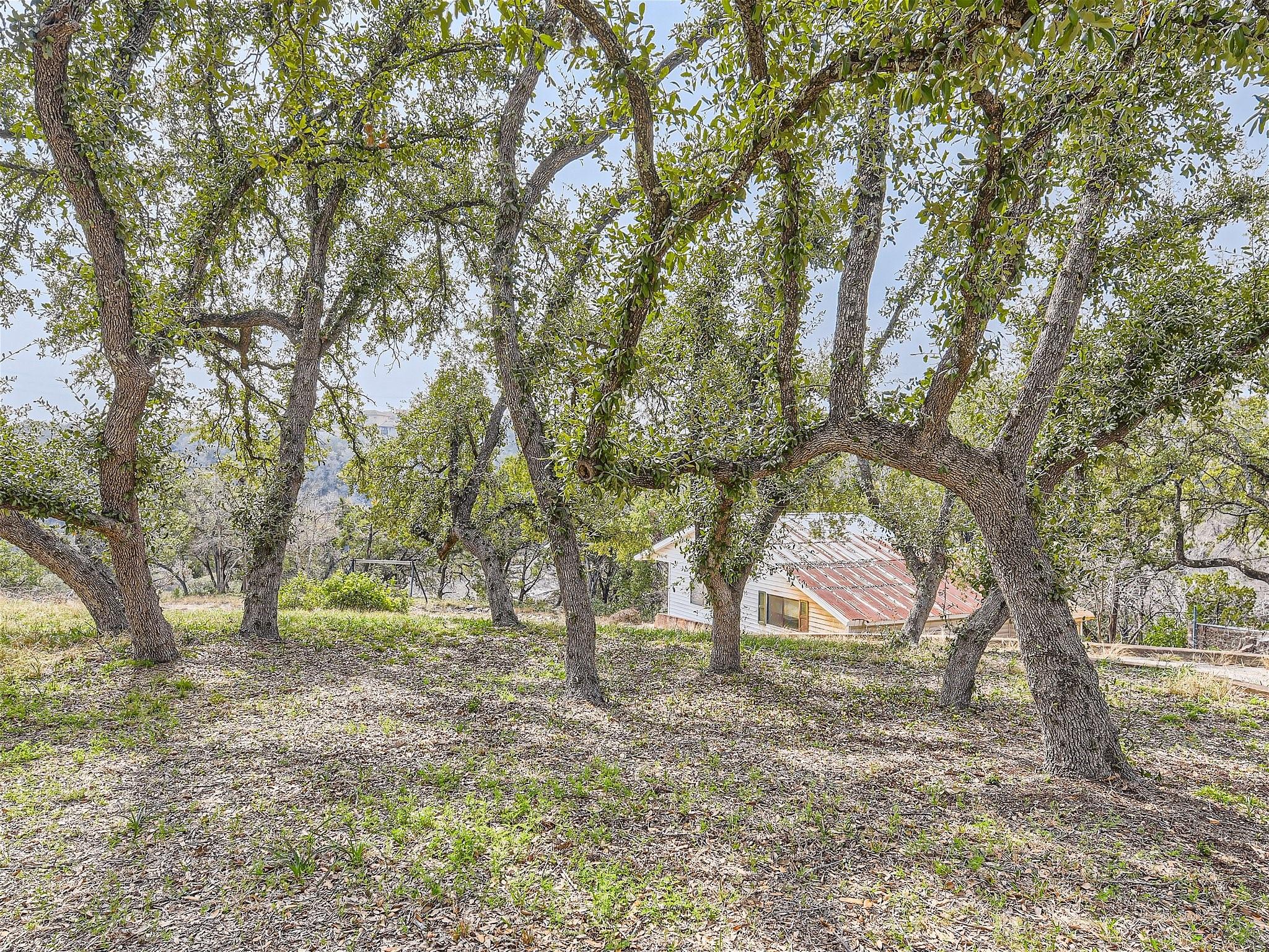 14704 Hornsby Hill Rd Property Photo 21