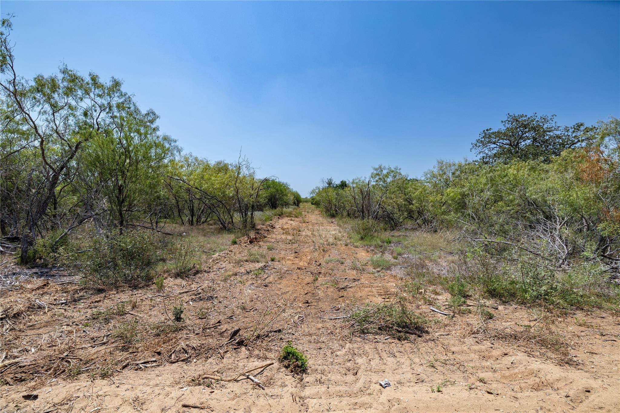 200 Tumbleweed Trl Property Photo 22