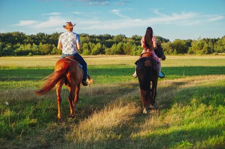 2464 County Road 249 None Property Photo 7