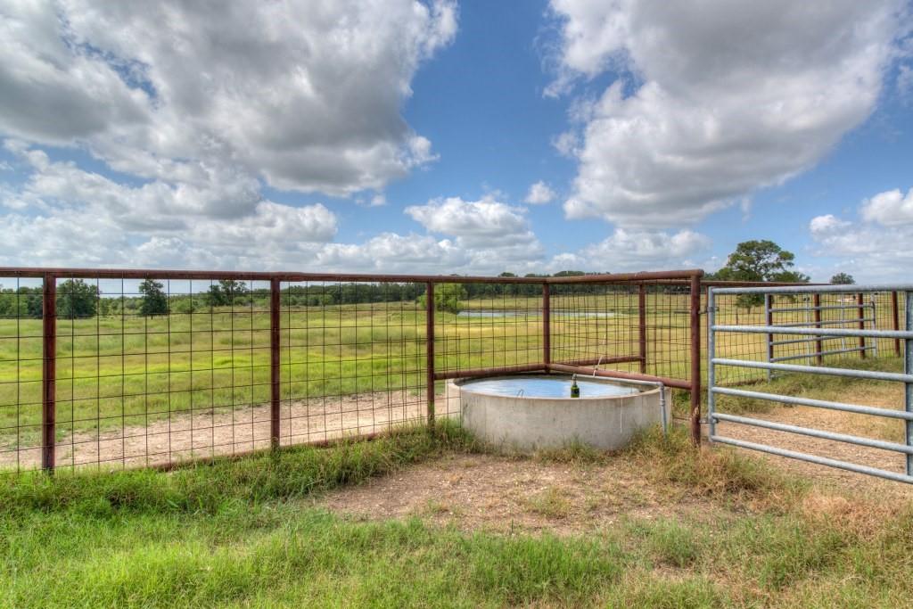 2464 County Road 249 None Property Photo 11