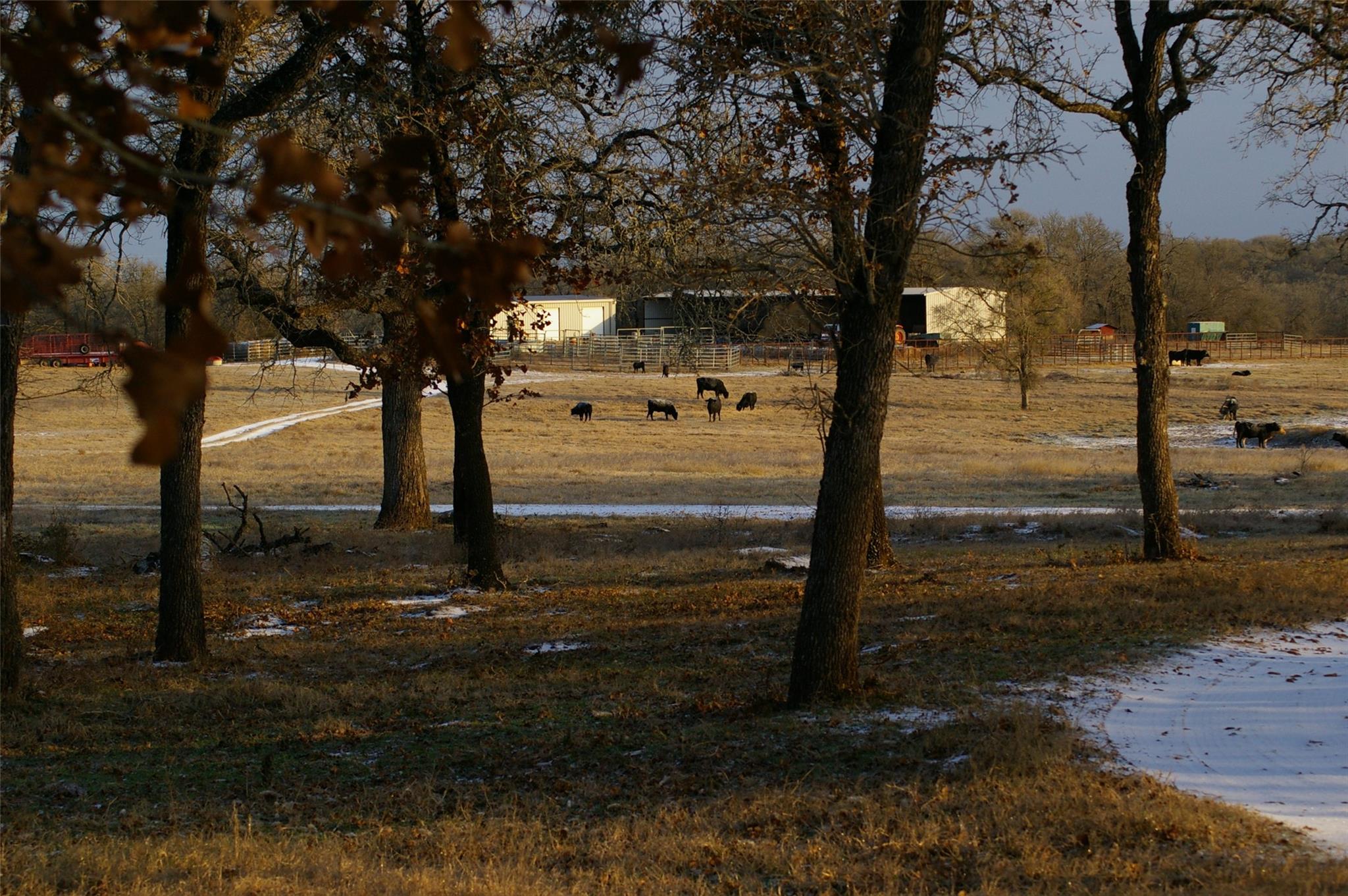 2464 County Road 249 Property Photo 18