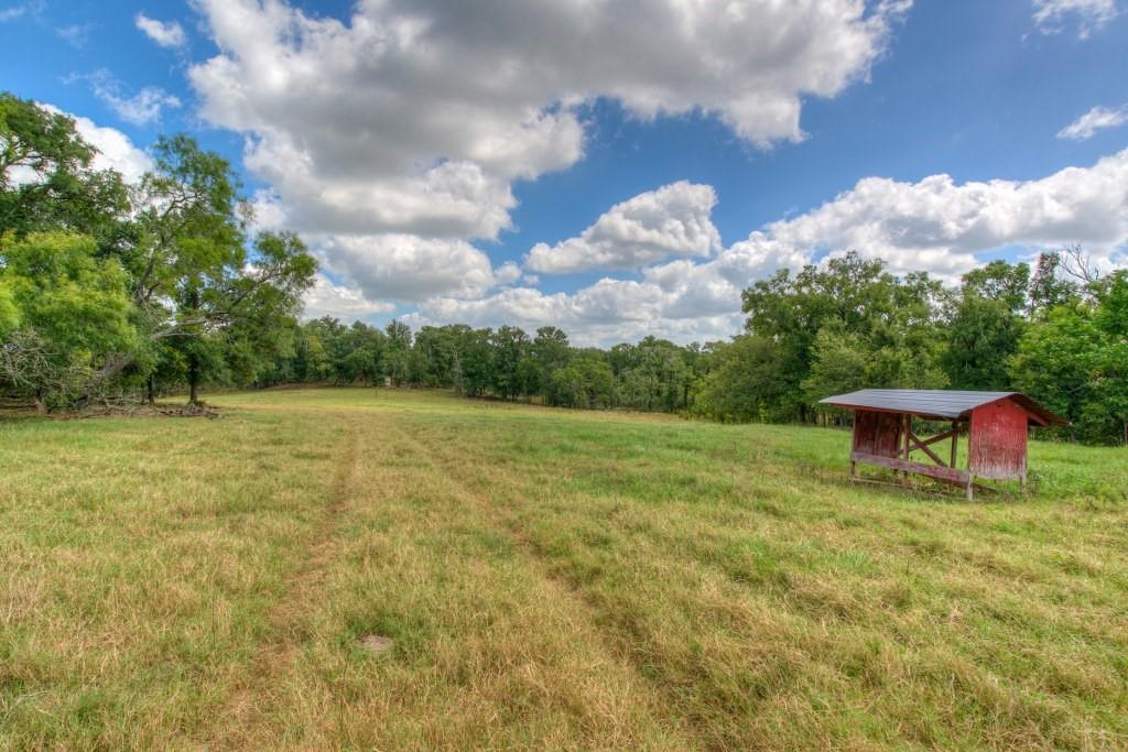2464 County Road 249 Property Photo 20