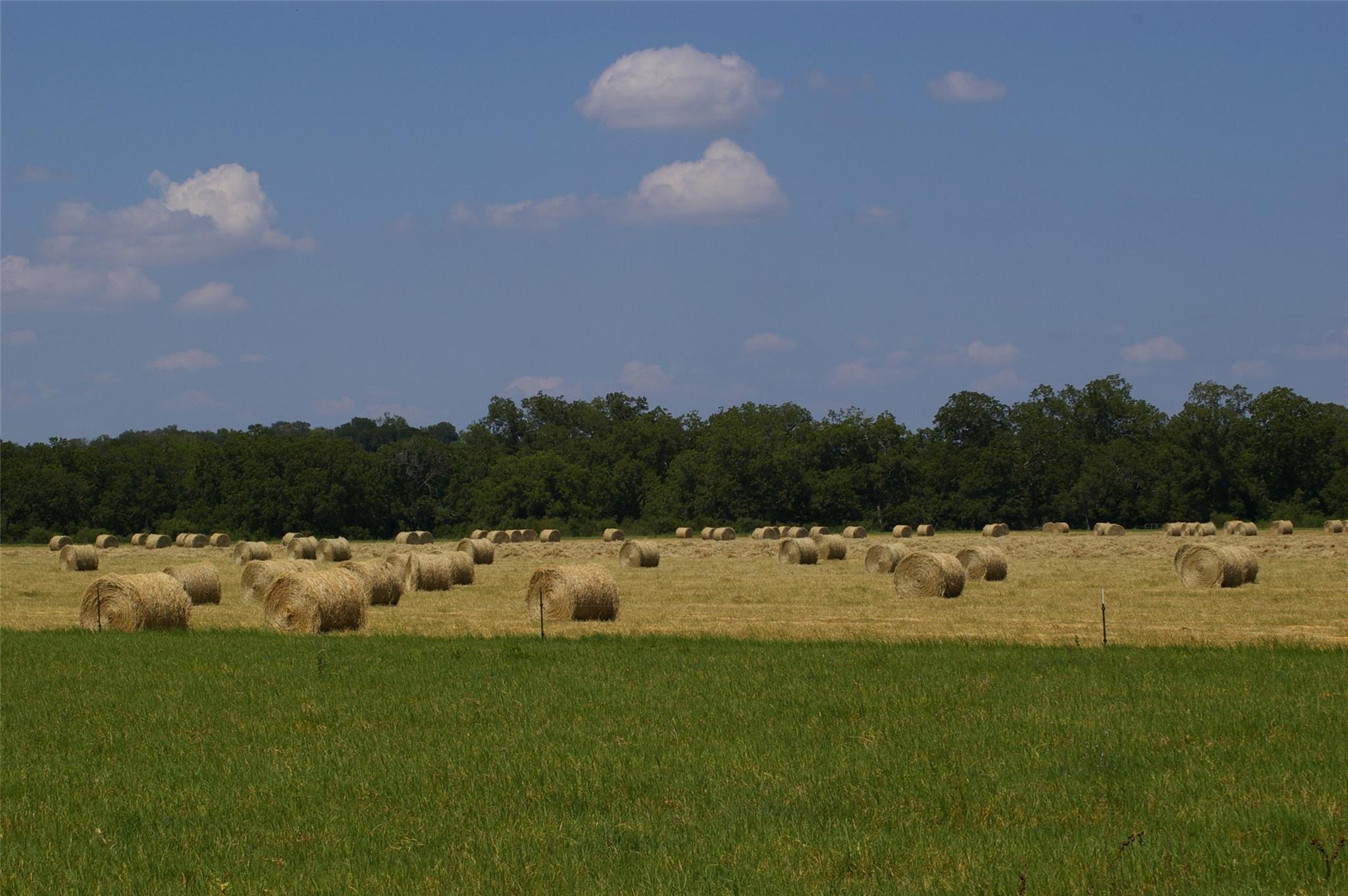 2464 County Road 249 None Property Photo 31