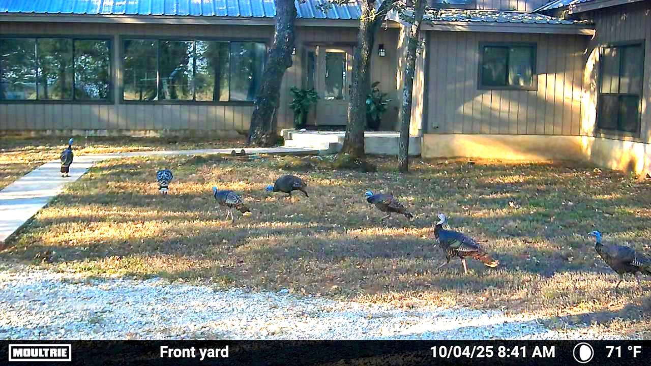 2464 County Road 249 None Property Photo 37