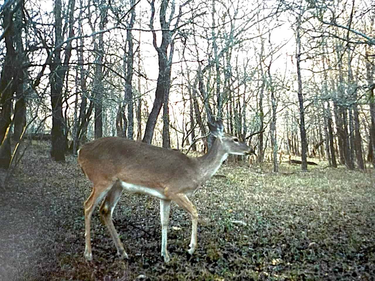 2464 County Road 249 None Property Photo 38