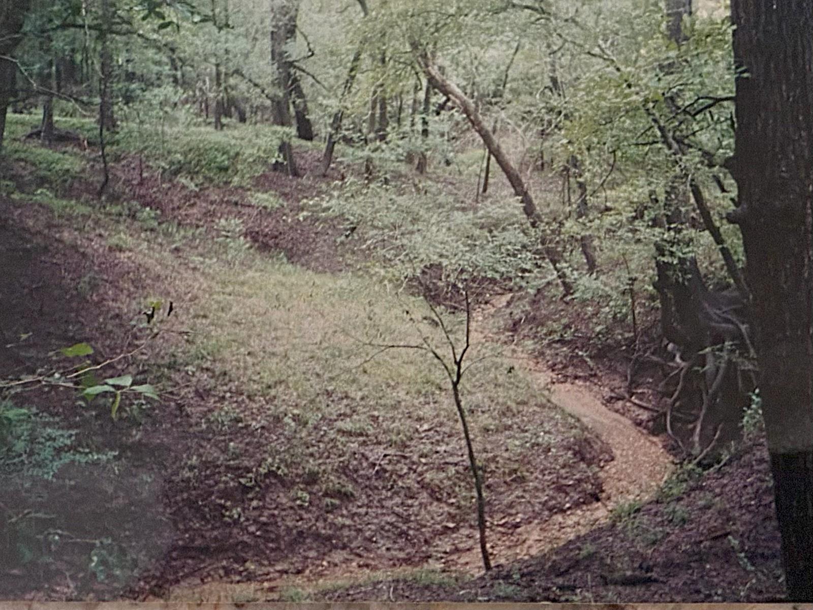 2464 County Road 249 None Property Photo 39