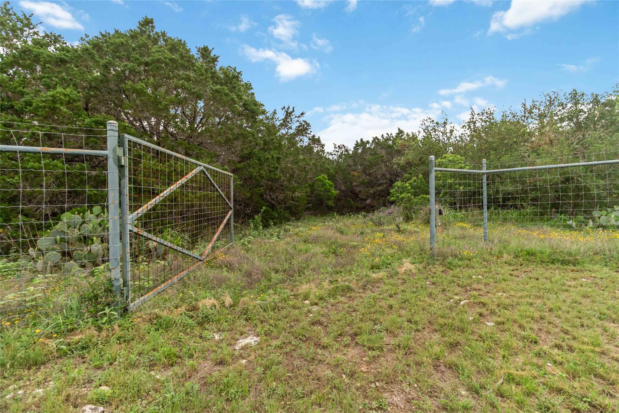 1306 Thousand Oaks Loop Property Photo 4