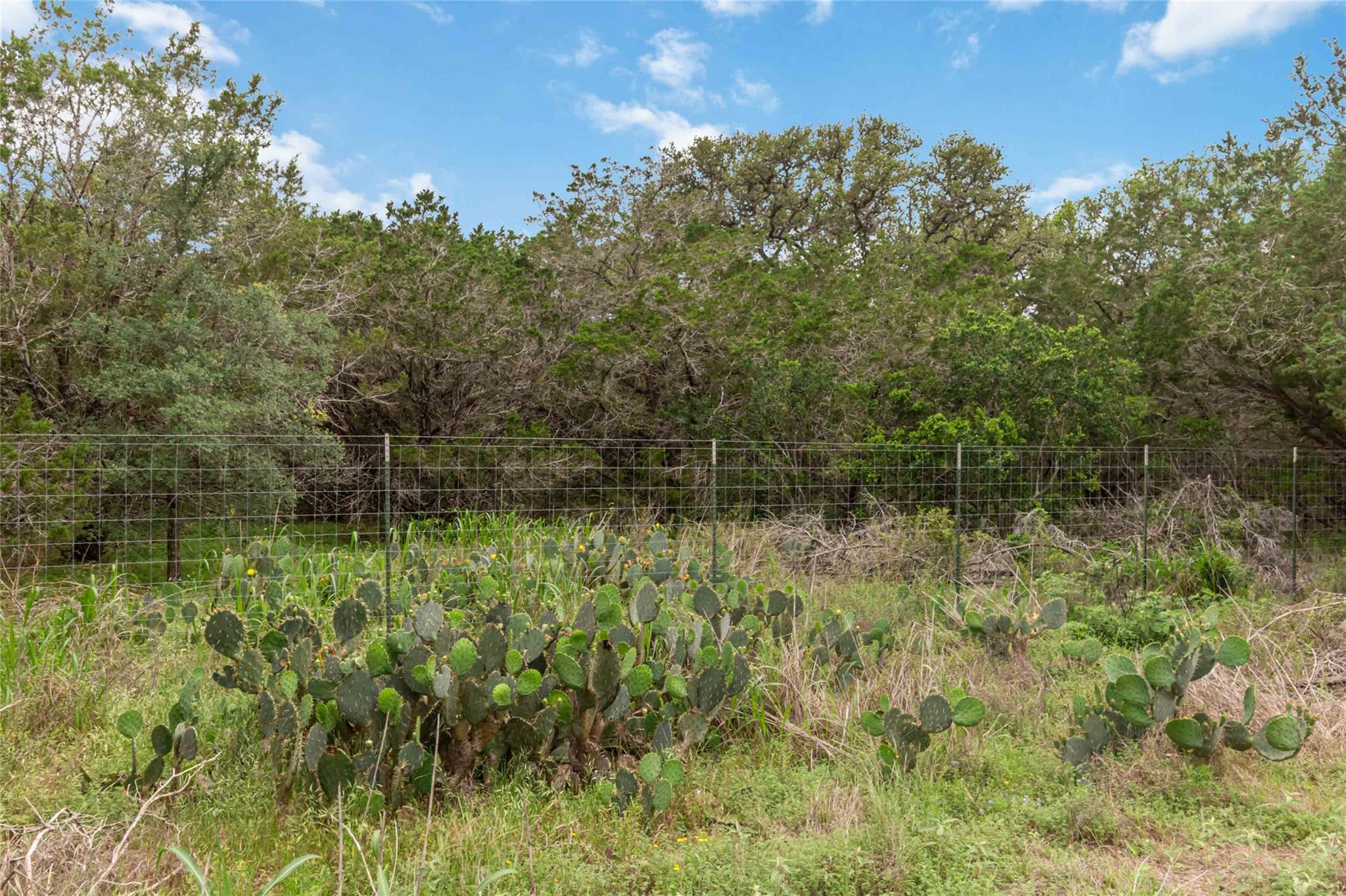 1306 Thousand Oaks Loop Property Photo 6
