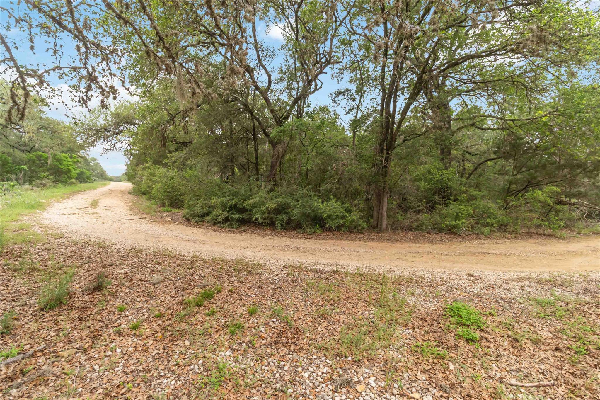 1306 Thousand Oaks Loop Property Photo 9