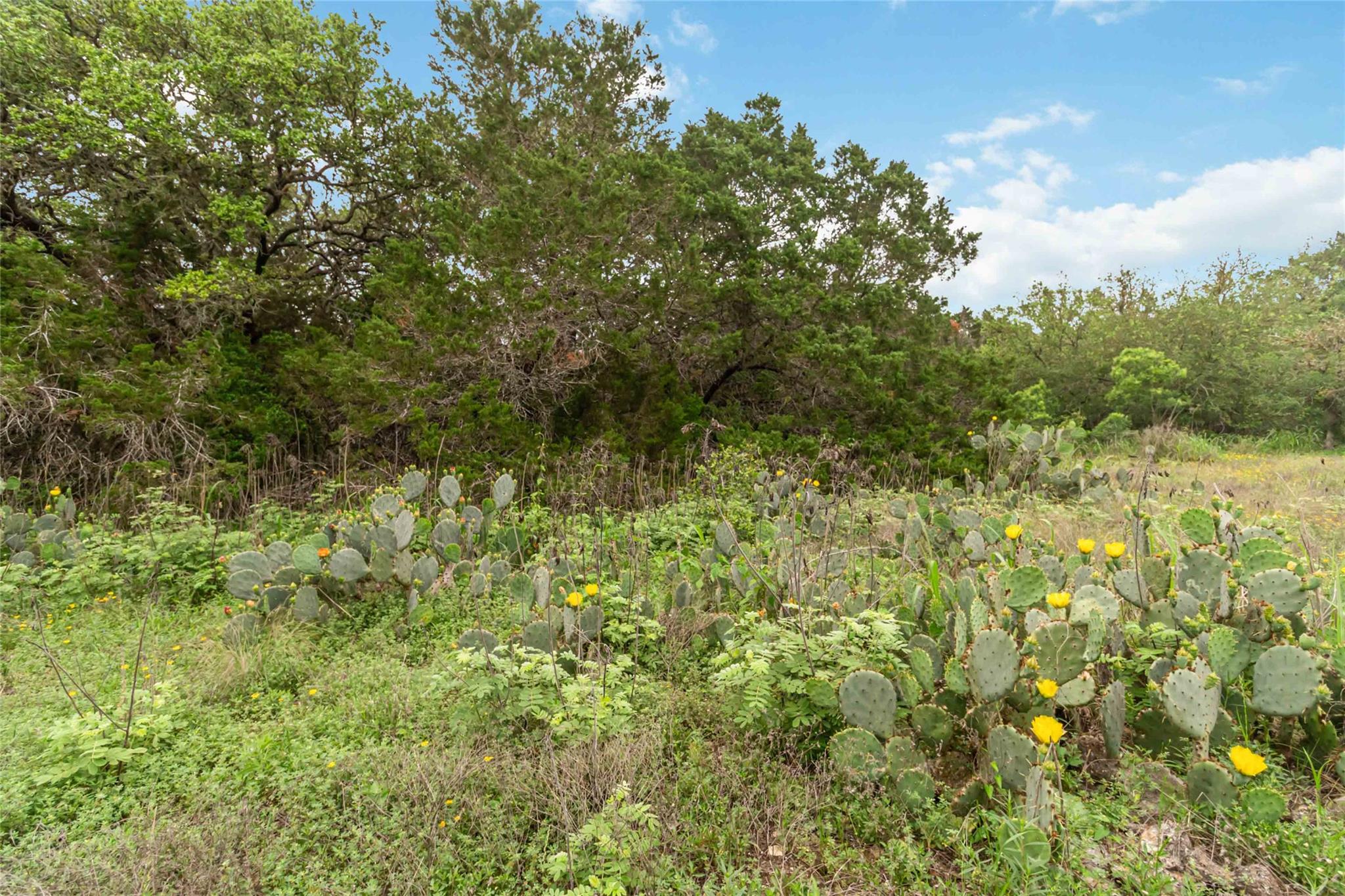 1306 Thousand Oaks Loop Property Photo 15