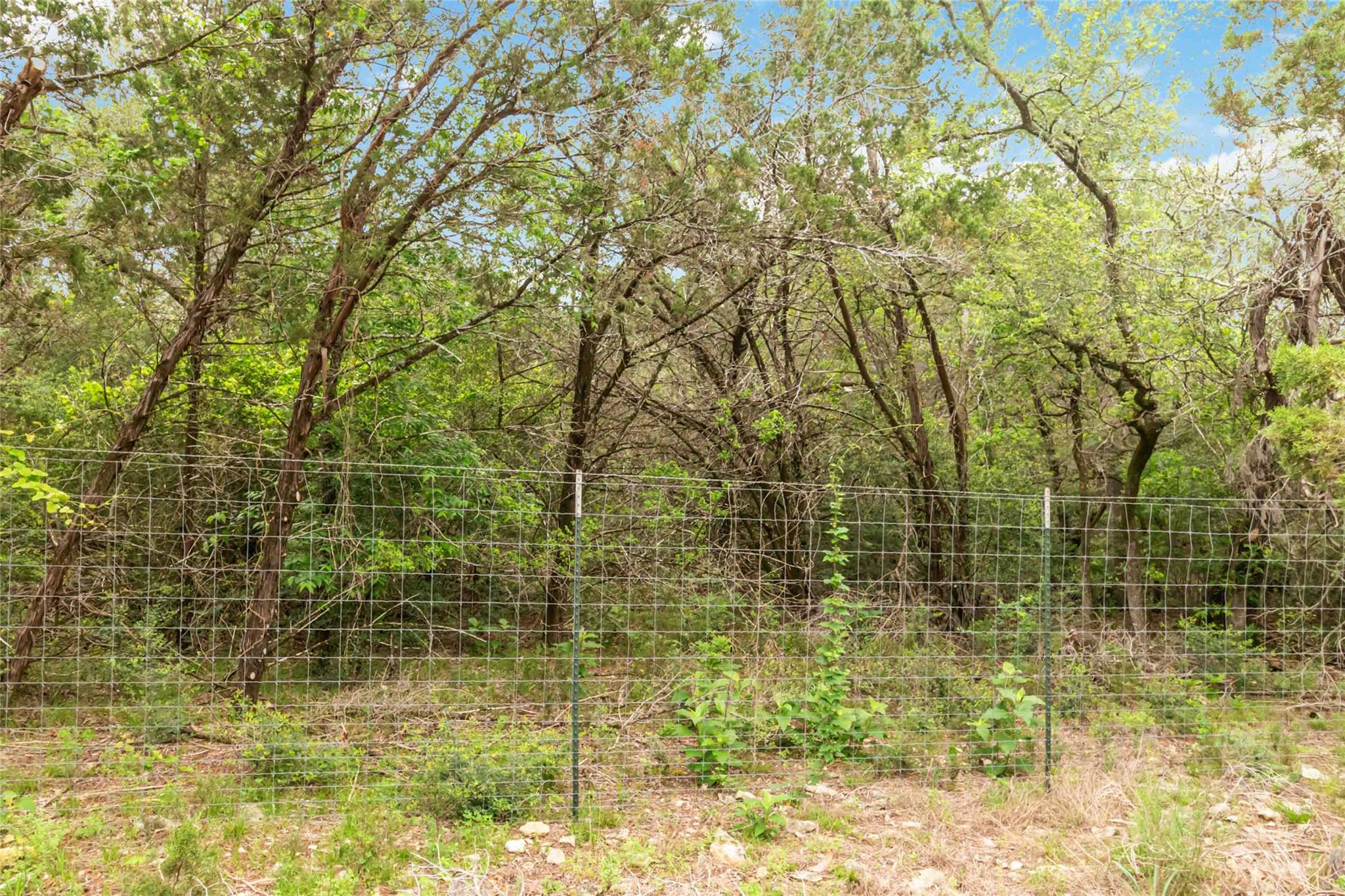 1306 Thousand Oaks Loop Property Photo 16