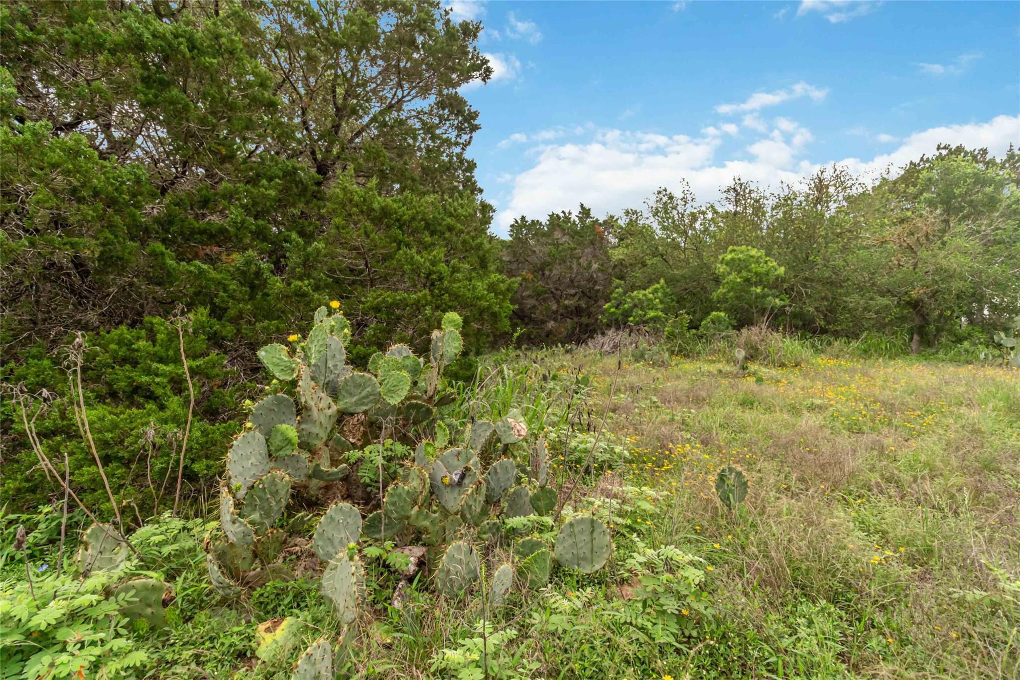 1306 Thousand Oaks Loop Property Photo 22