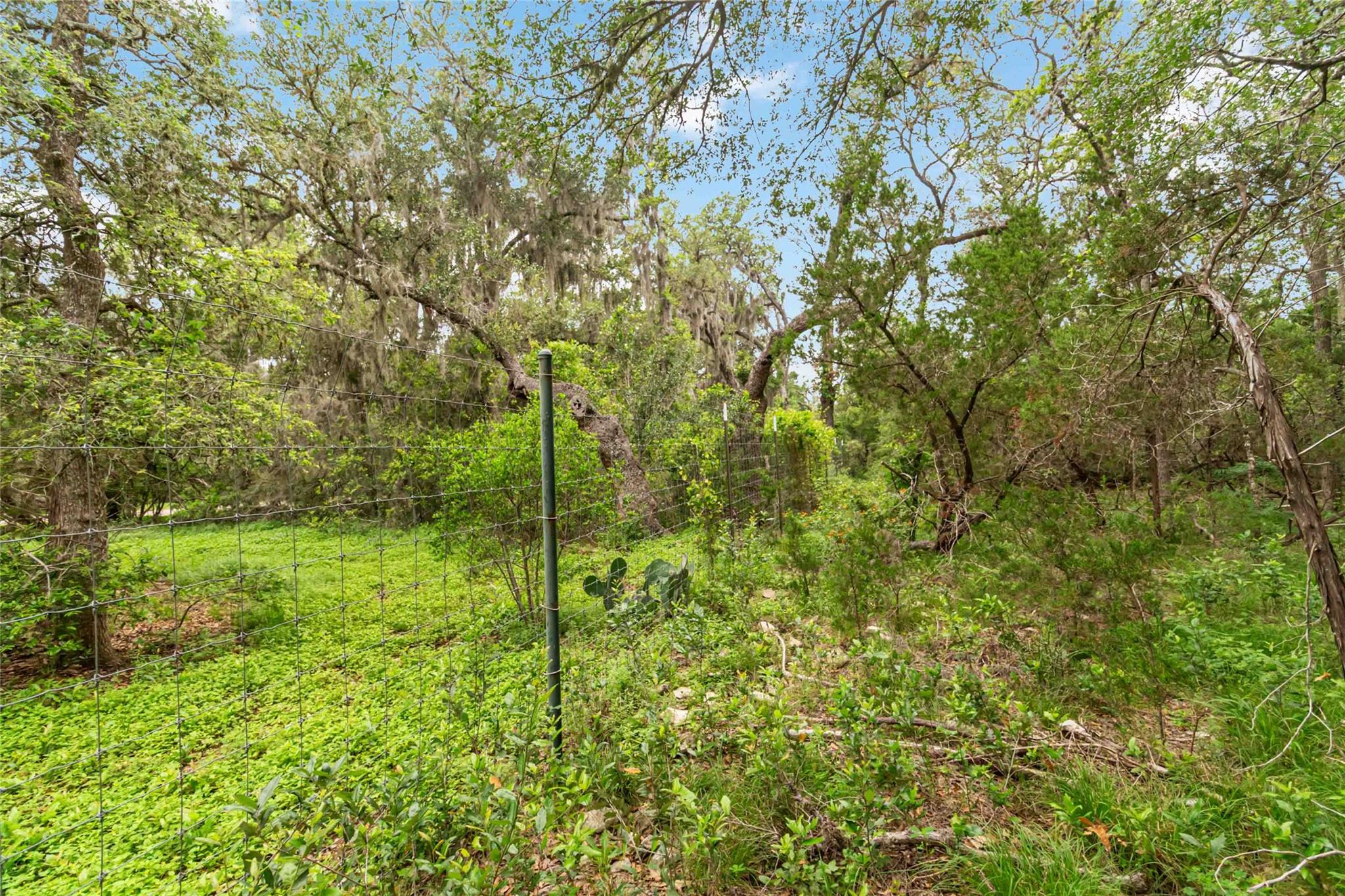 1306 Thousand Oaks Loop Property Photo 27