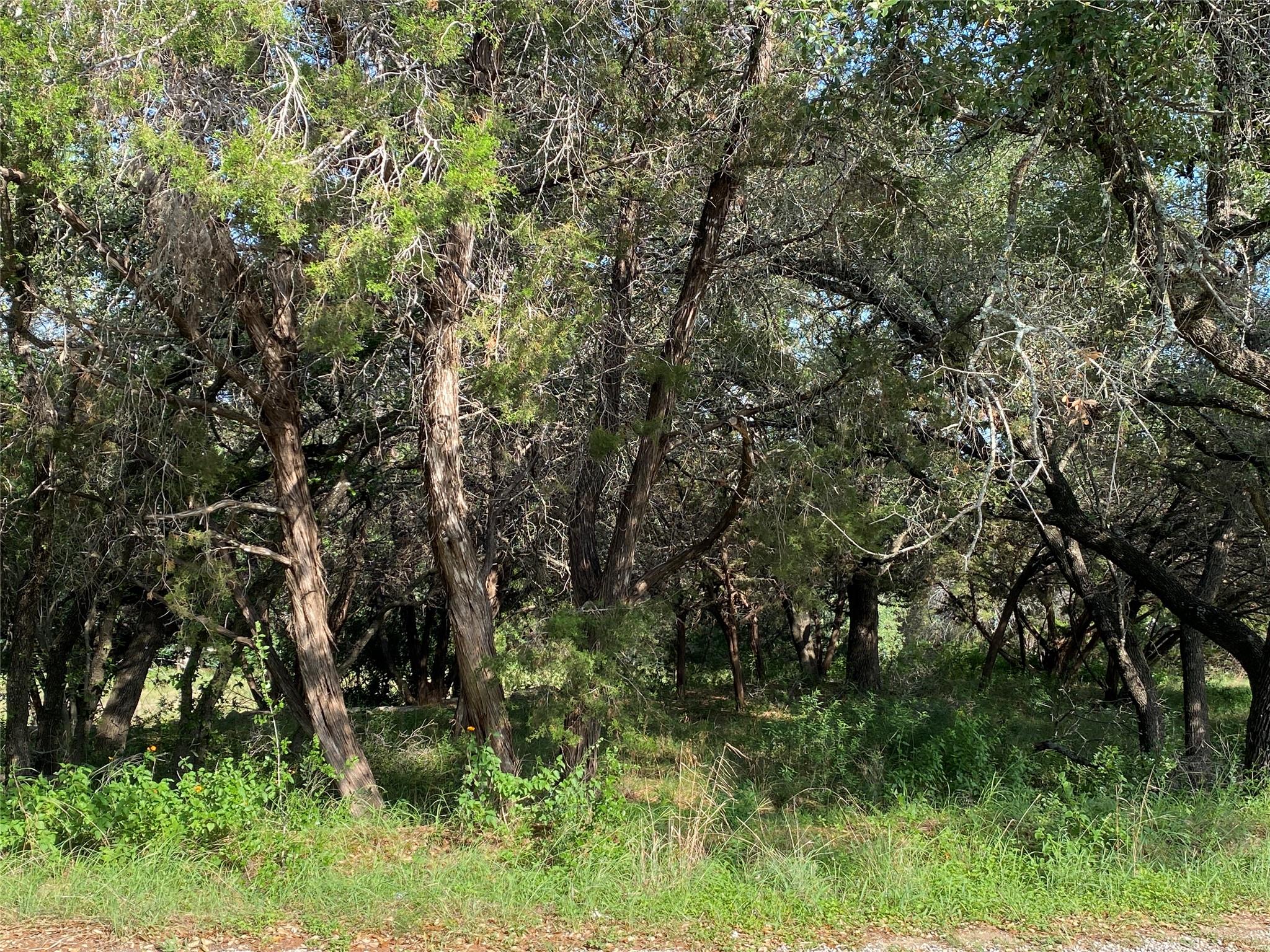 1401 Sharps Rd Property Photo 5