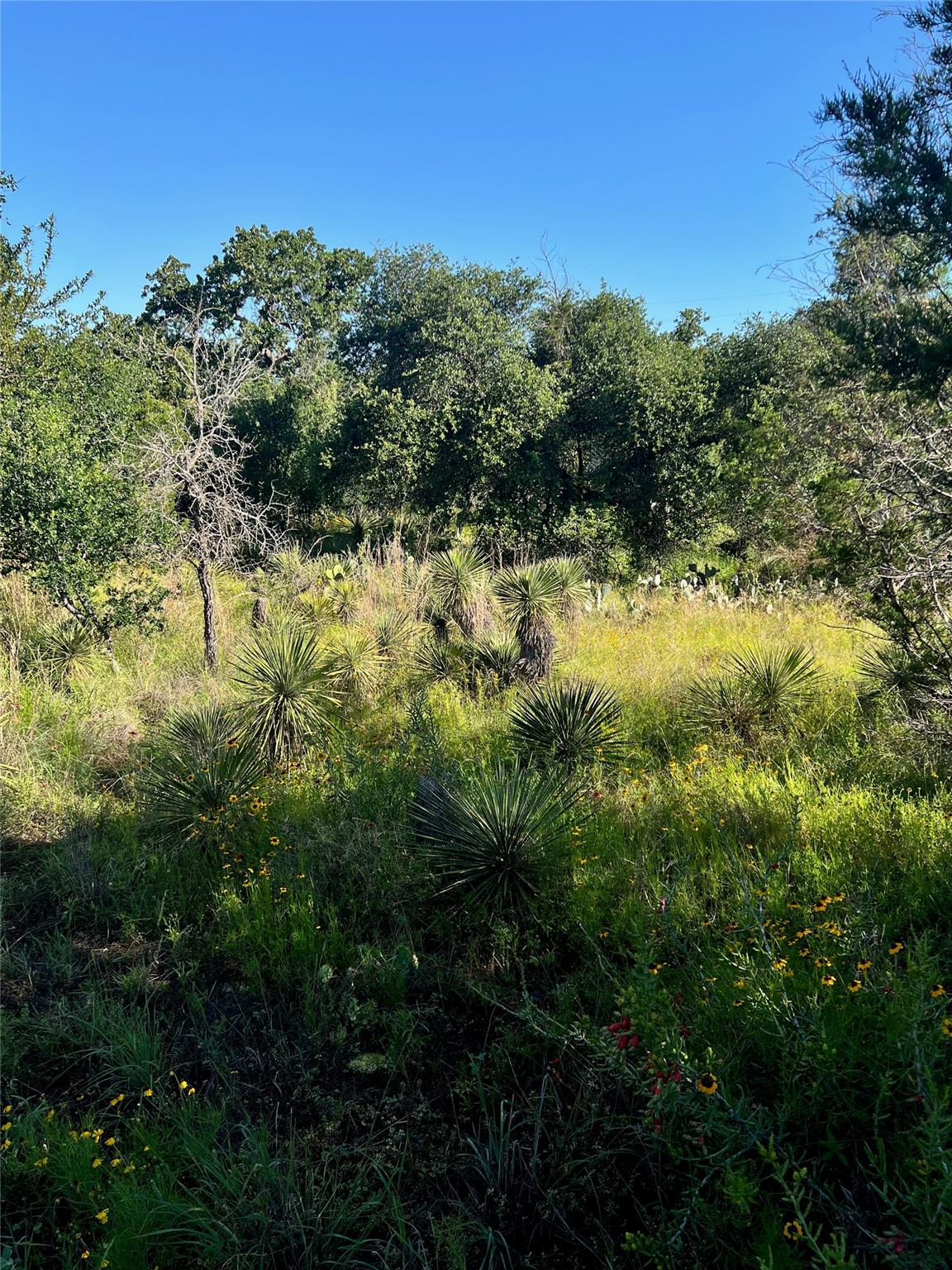 TBD Castlelake Dr Property Photo 1