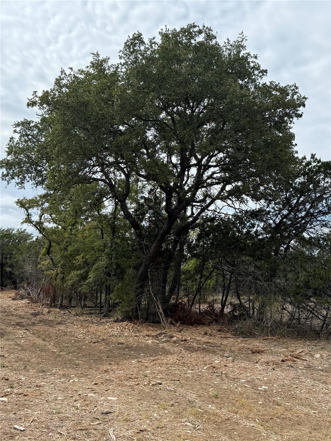 Tract D Pr 4718 Property Photo 12