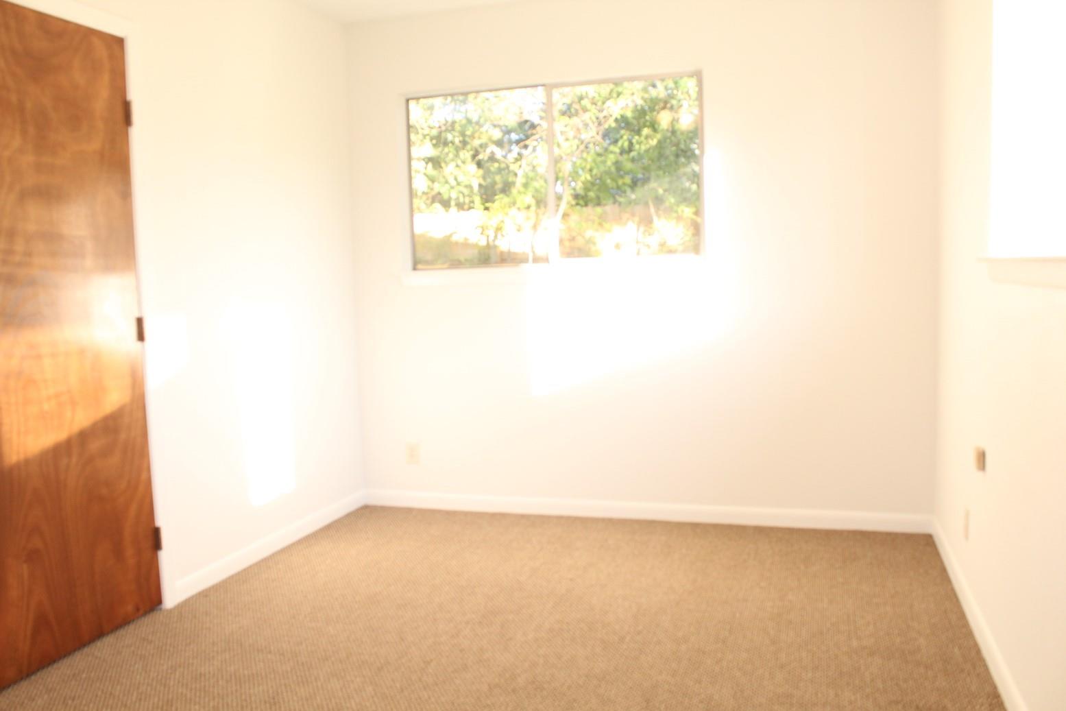 4708 York Hill Dr Property Photo 8