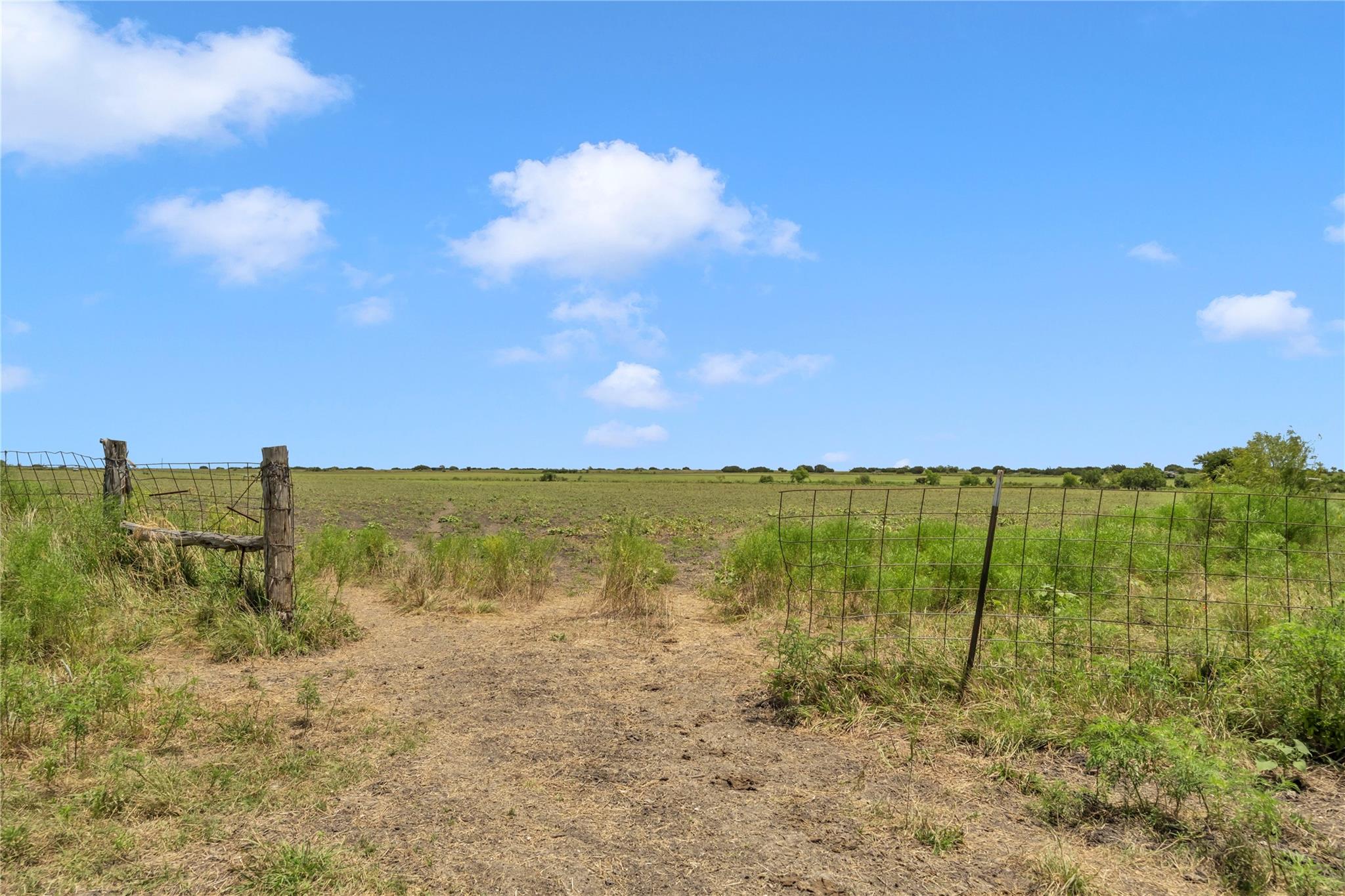 10600 County Road 210 Rd Property Photo 10