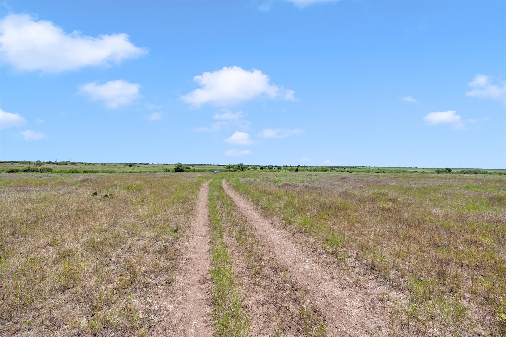 10600 County Road 210 Rd Property Photo 23