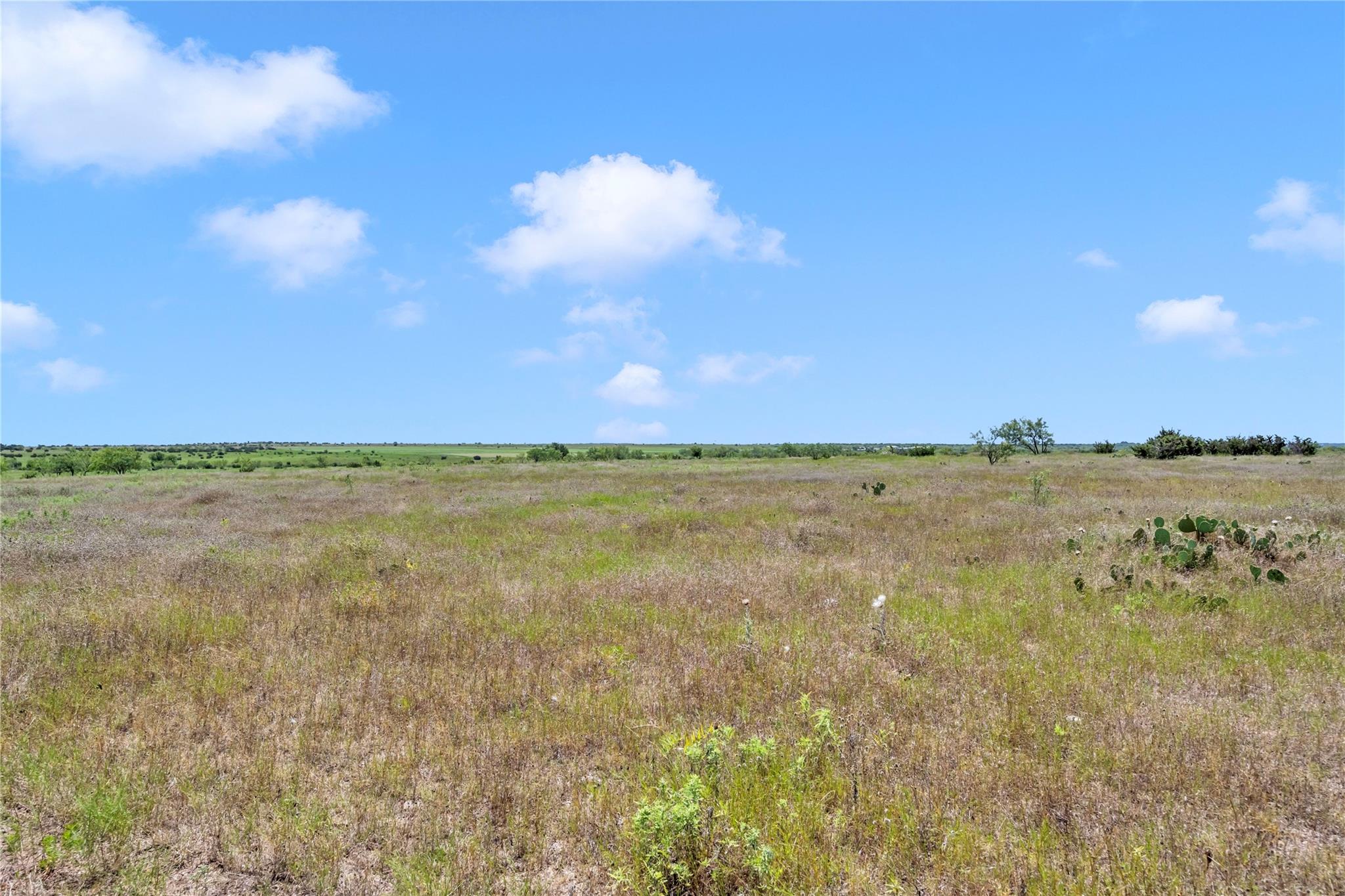 10600 County Road 210 Rd Property Photo 24
