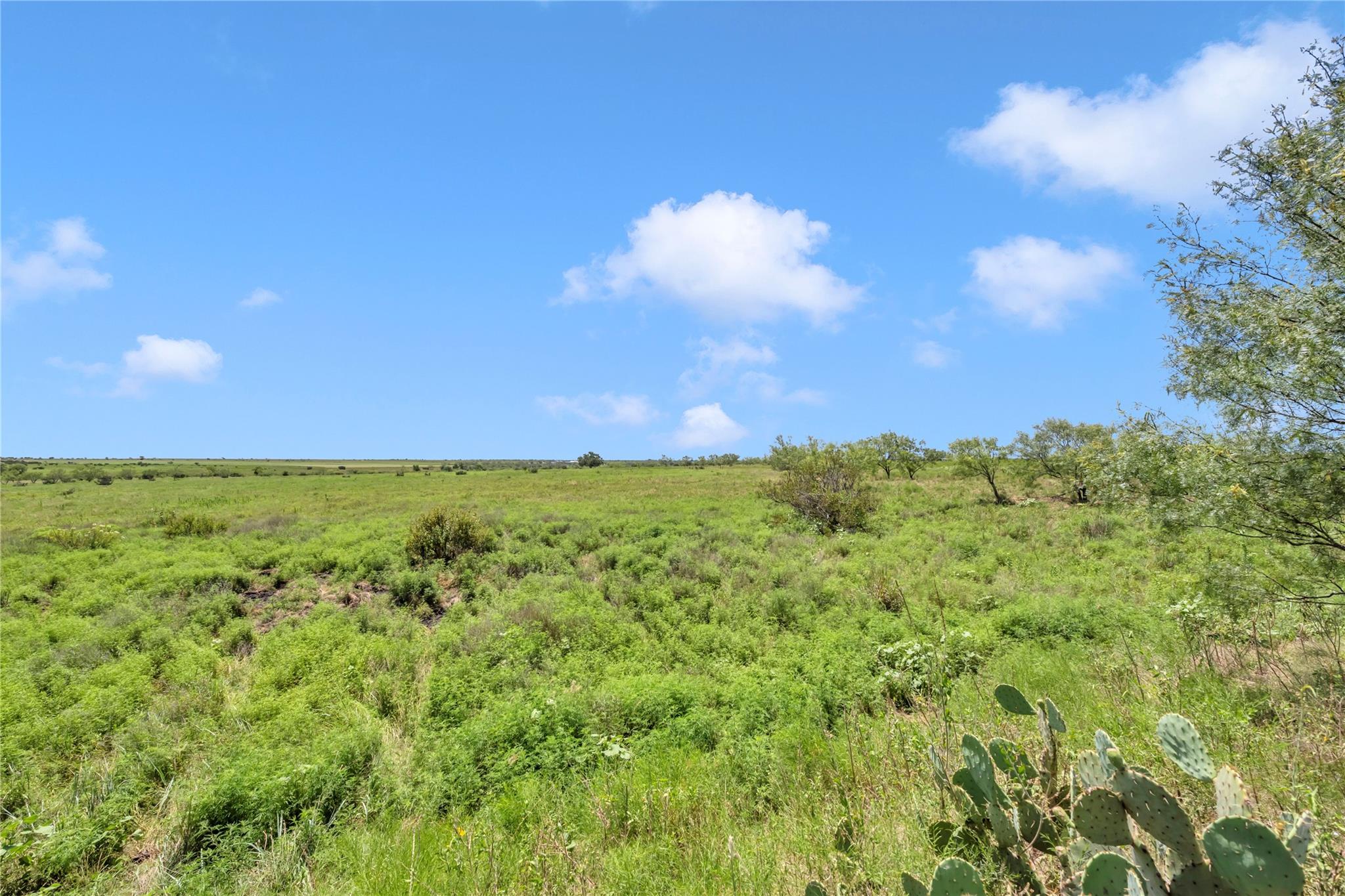 10600 County Road 210 Rd Property Photo 26